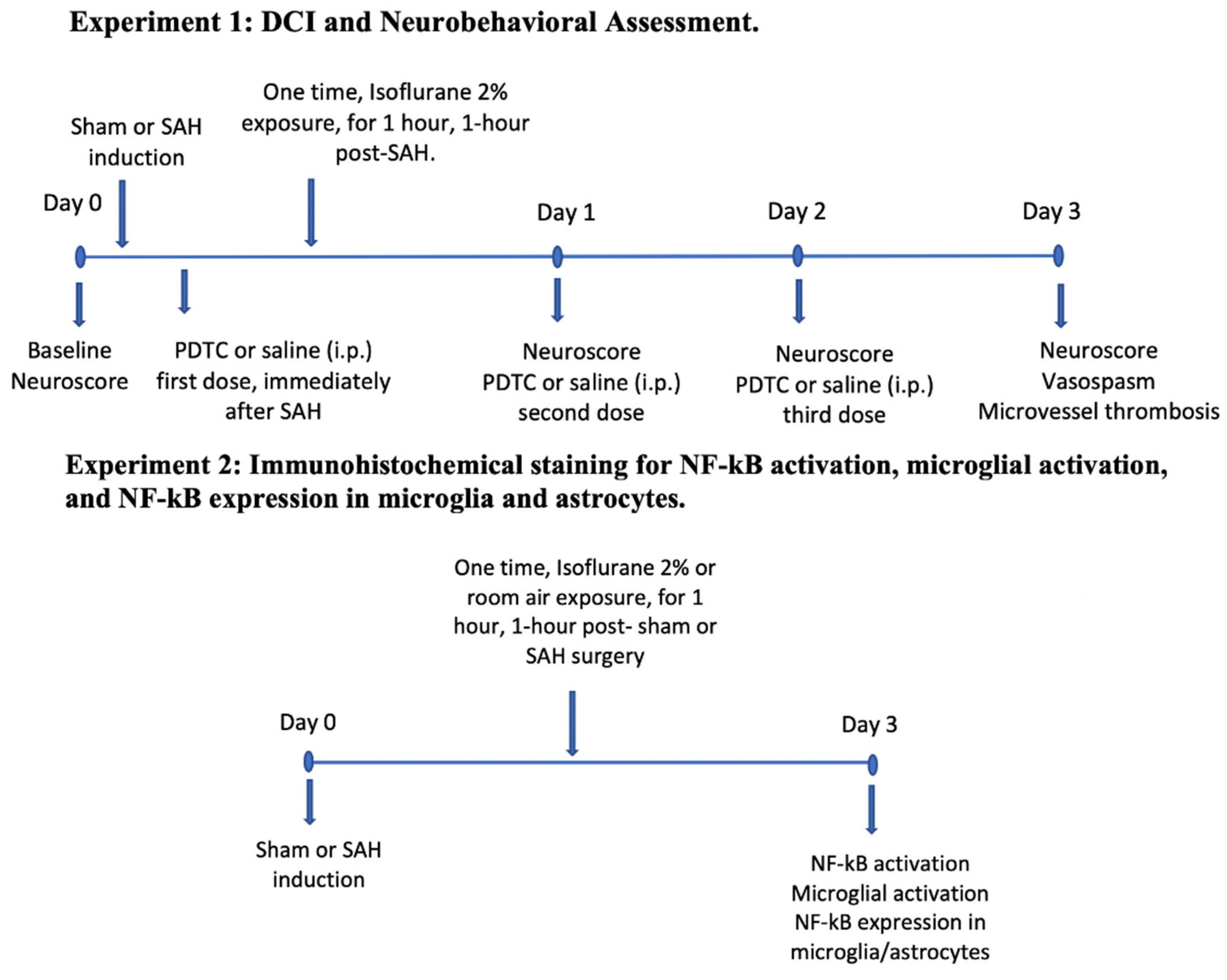 Biomedicines 11 01163 g001