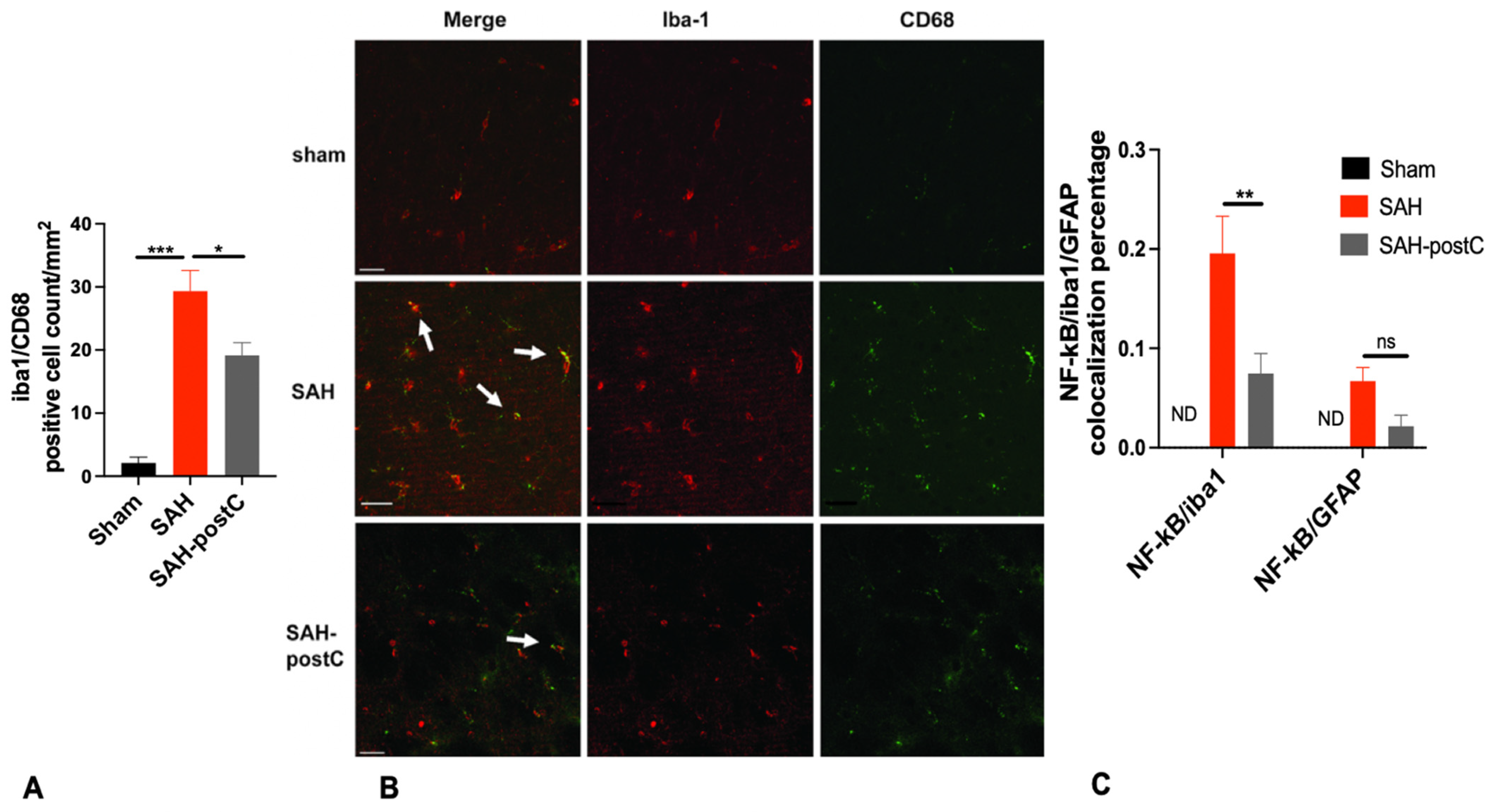 Biomedicines 11 01163 g003a