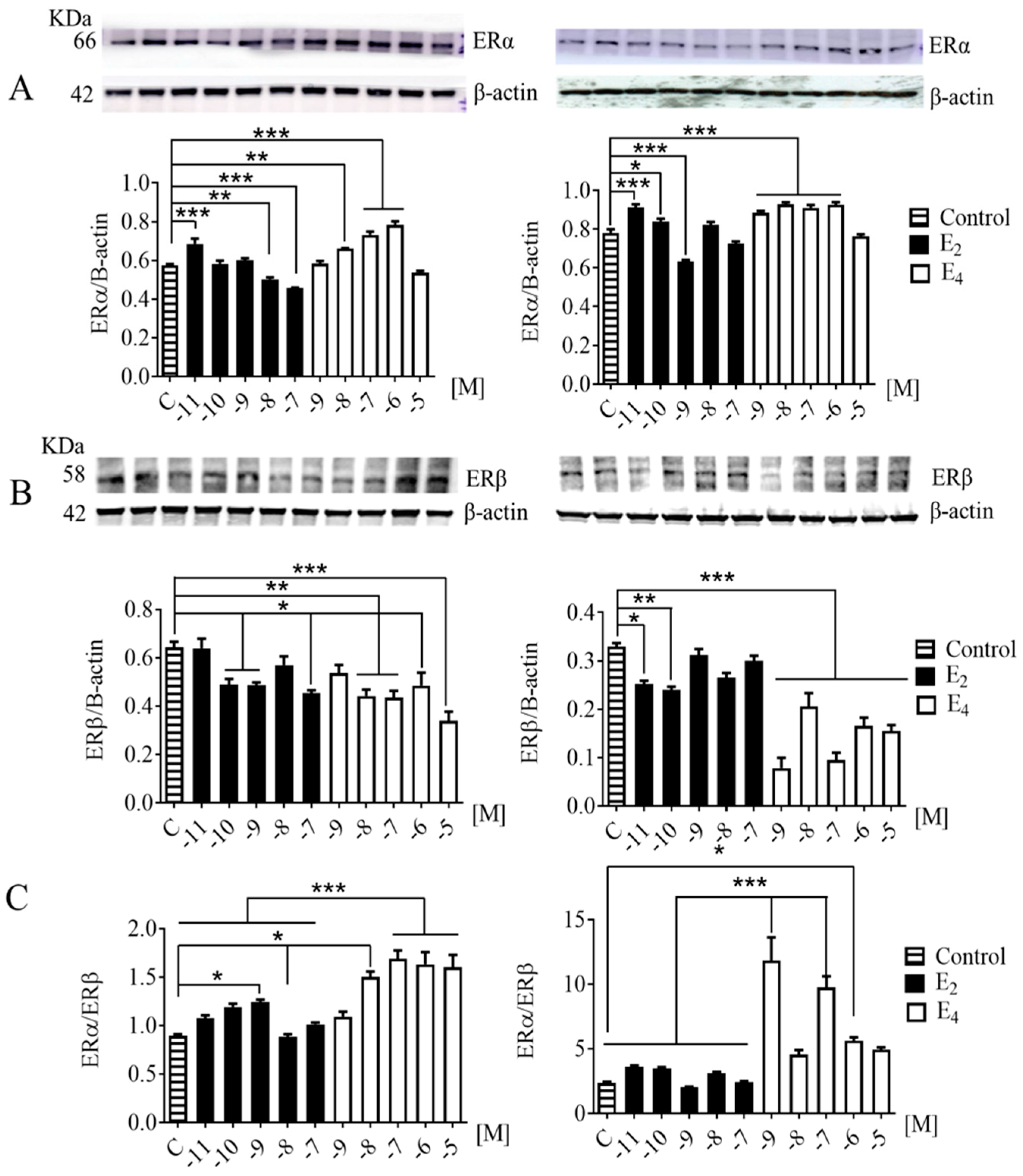 Biomedicines 11 01169 g002 Biomedicines 11 01169 g002