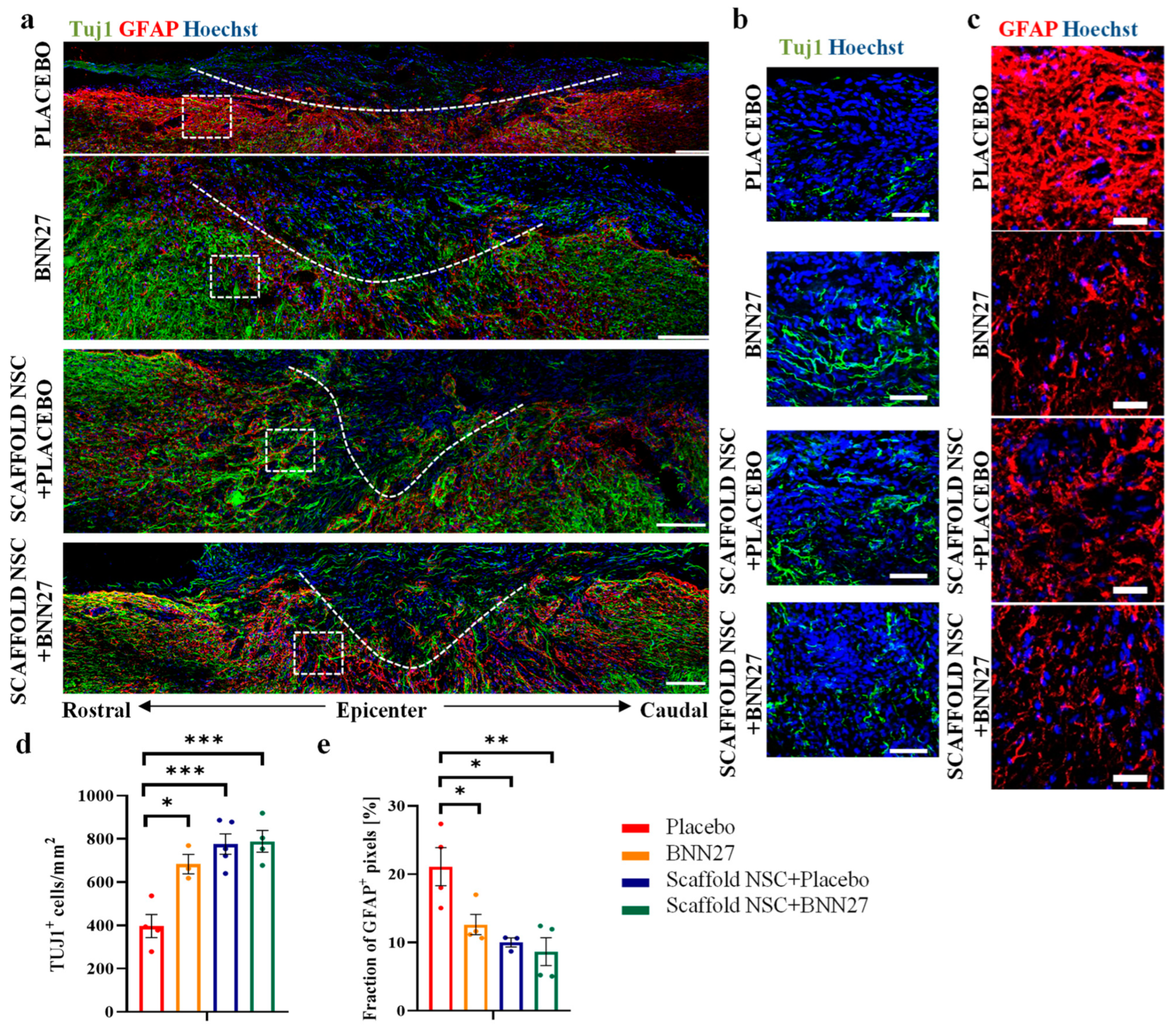 Biomedicines 11 01170 g002 Biomedicines 11 01170 g002
