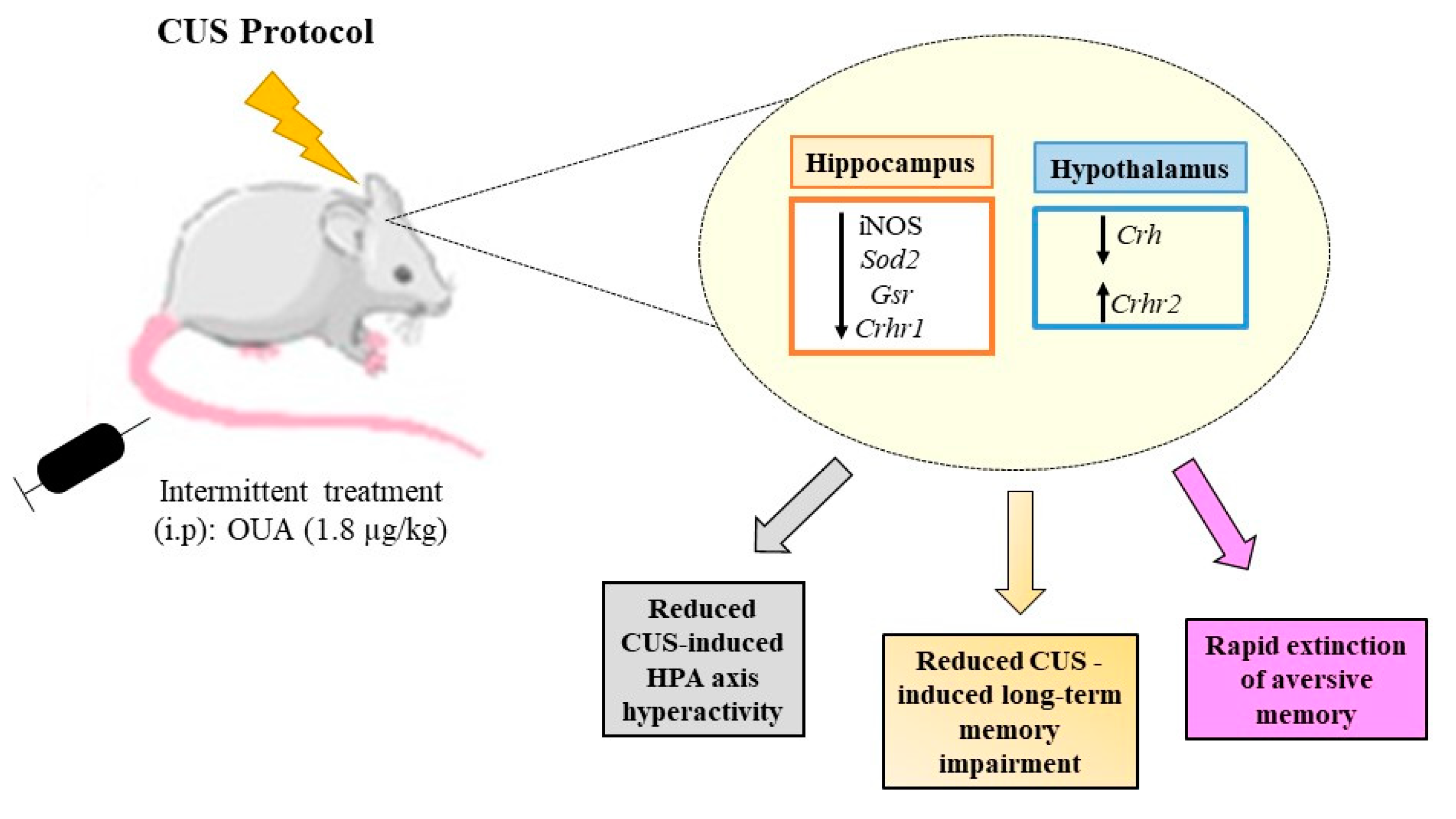 Biomedicines 11 01177 g009 Biomedicines 11 01177 g009
