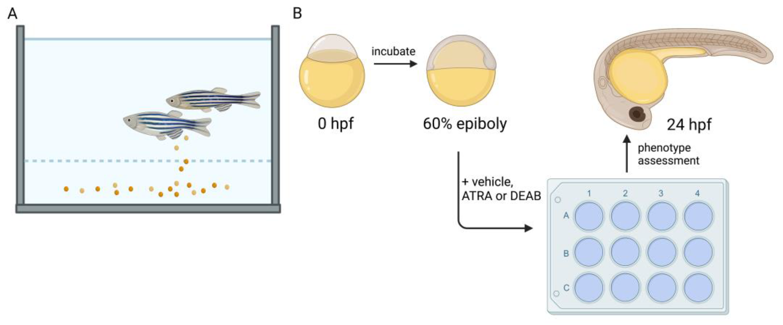 Biomedicines 11 01180 g002
