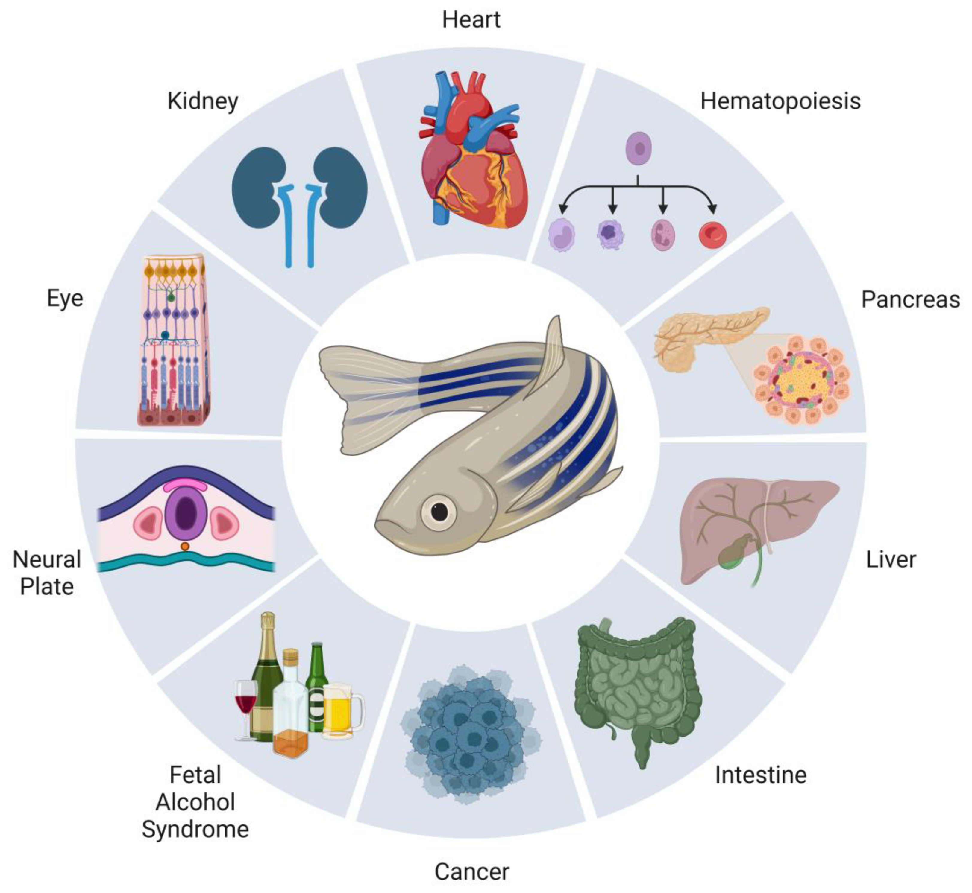 Biomedicines 11 01180 g004