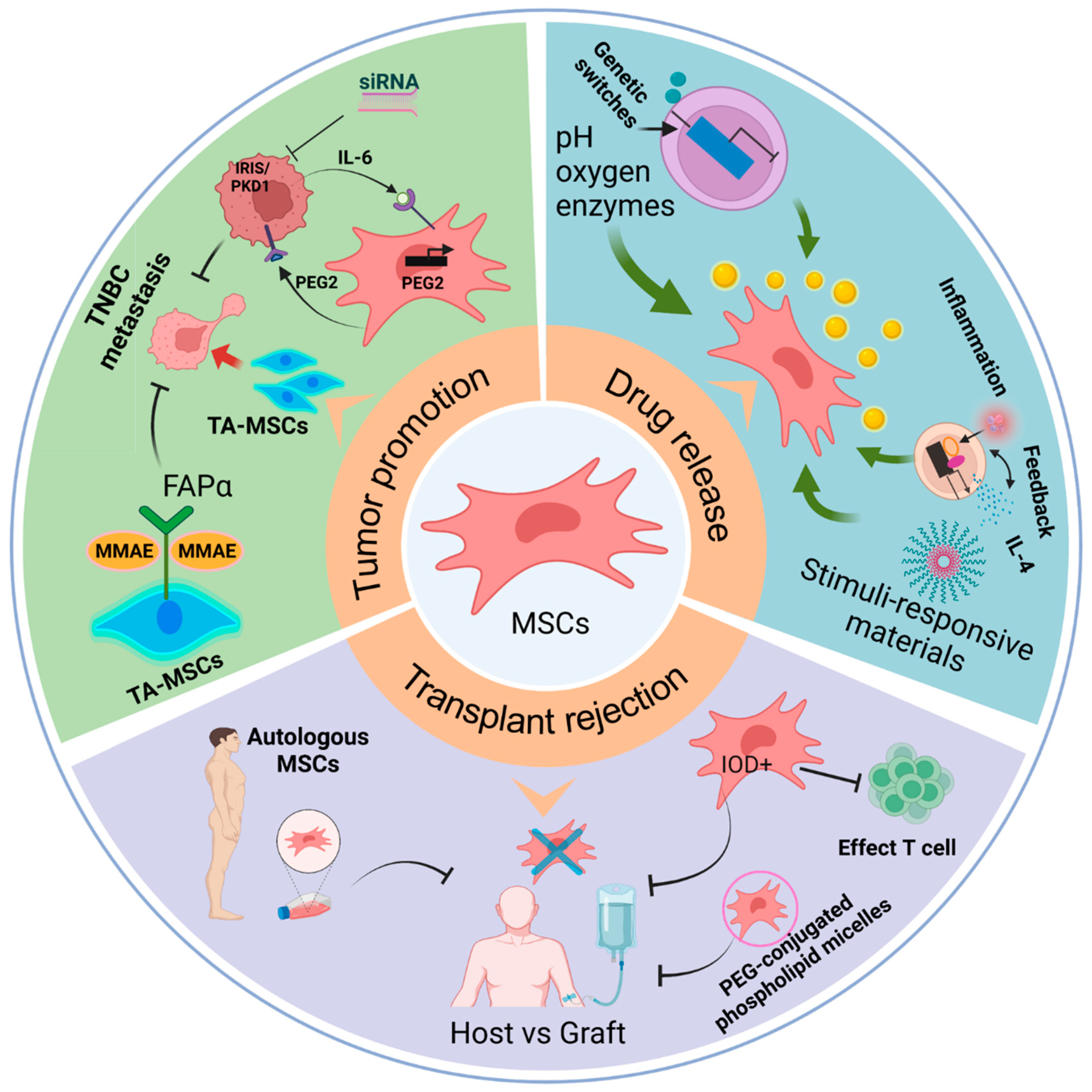 Biomedicines 11 01182 g003 Biomedicines 11 01182 g003