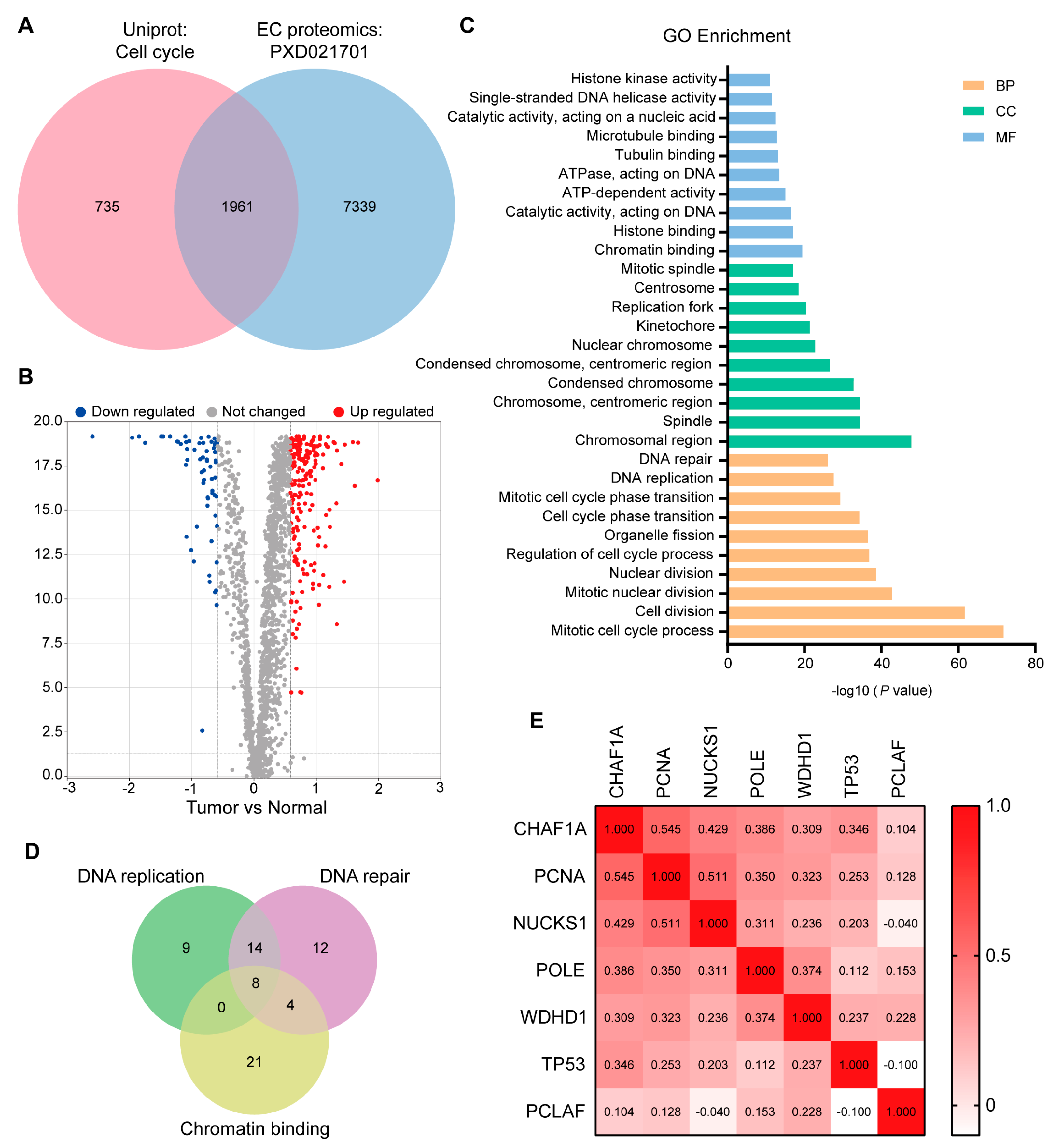 Biomedicines 11 01184 g001 Biomedicines 11 01184 g001