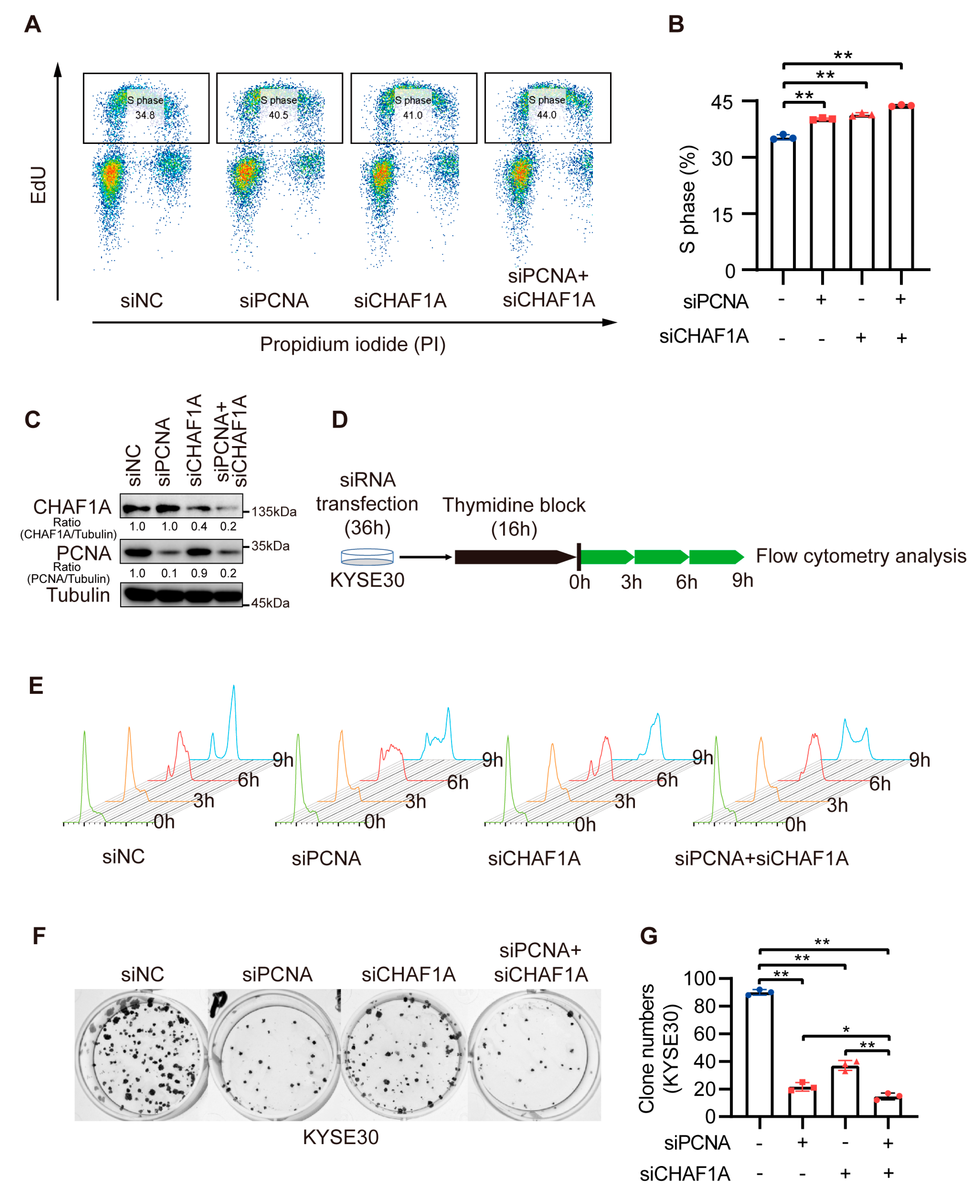 Biomedicines 11 01184 g005 Biomedicines 11 01184 g005