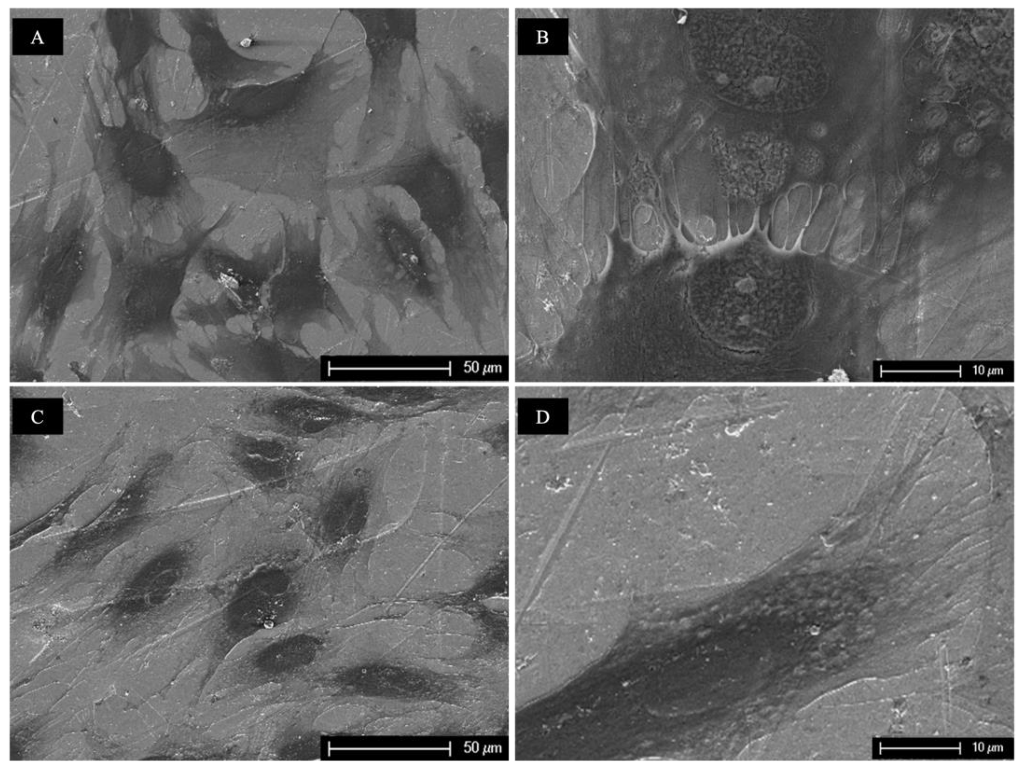 Biomedicines 11 01185 g007 Biomedicines 11 01185 g007