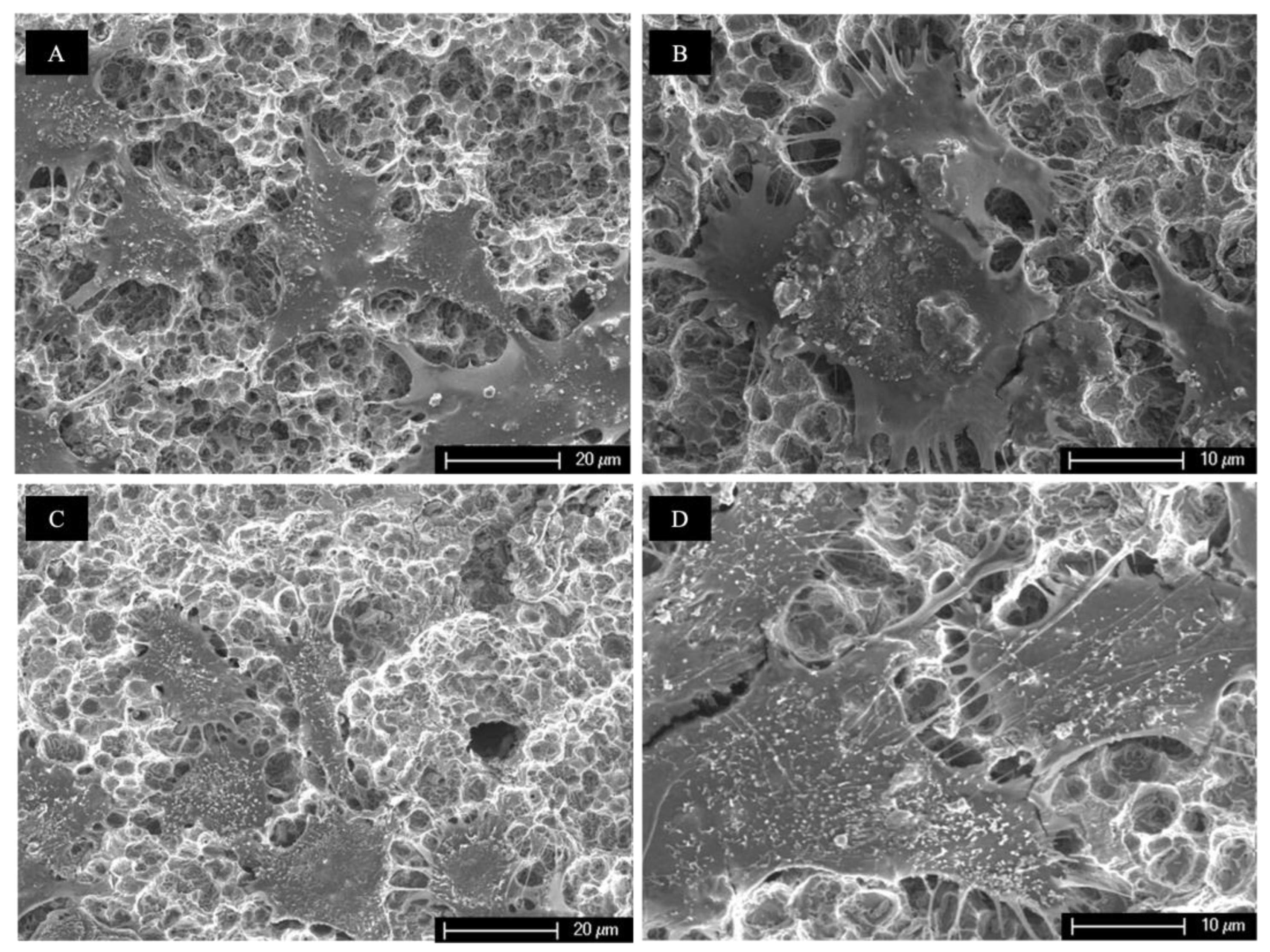 Biomedicines 11 01185 g008 Biomedicines 11 01185 g008