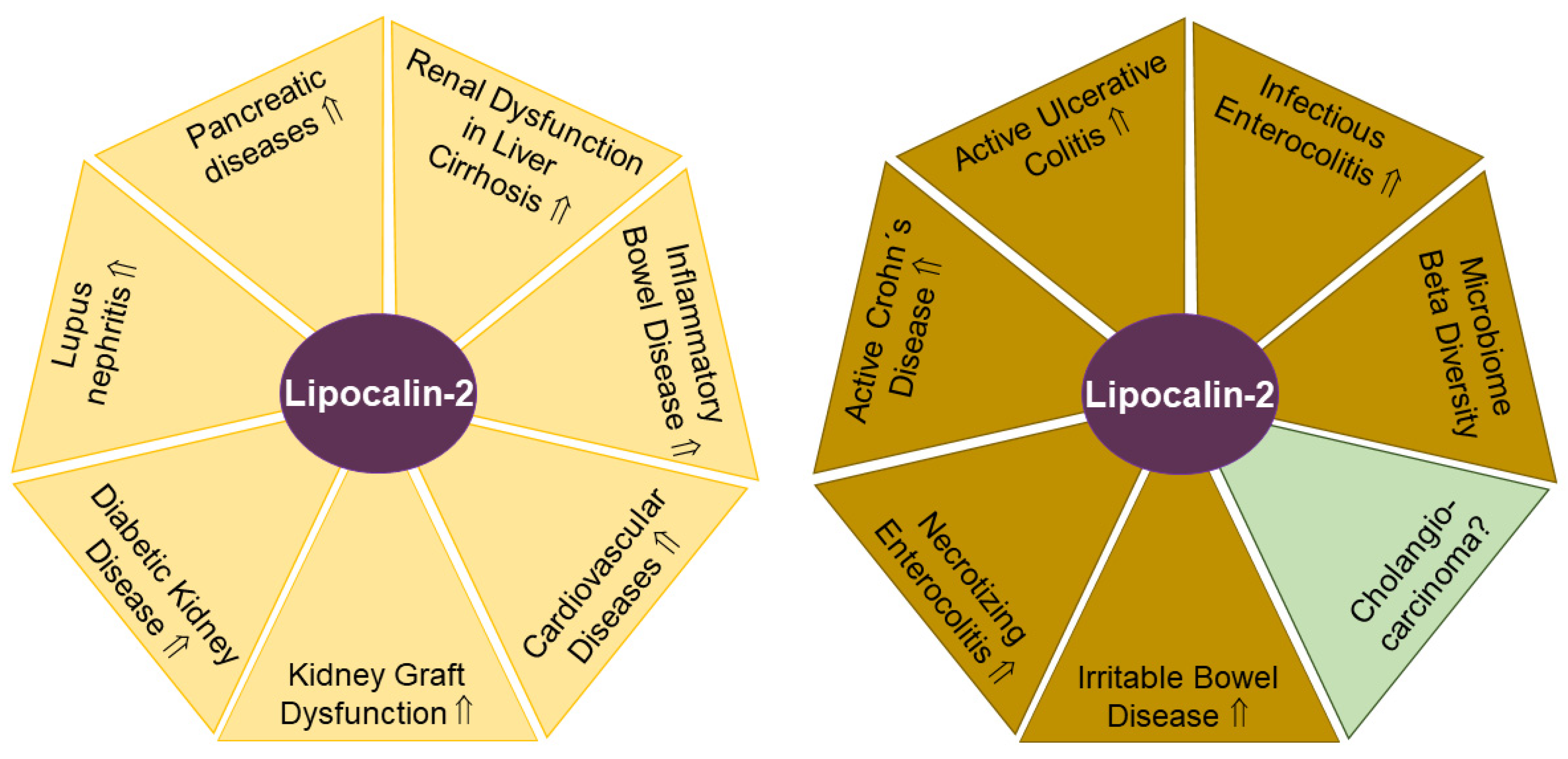 Biomedicines 11 01186 g002