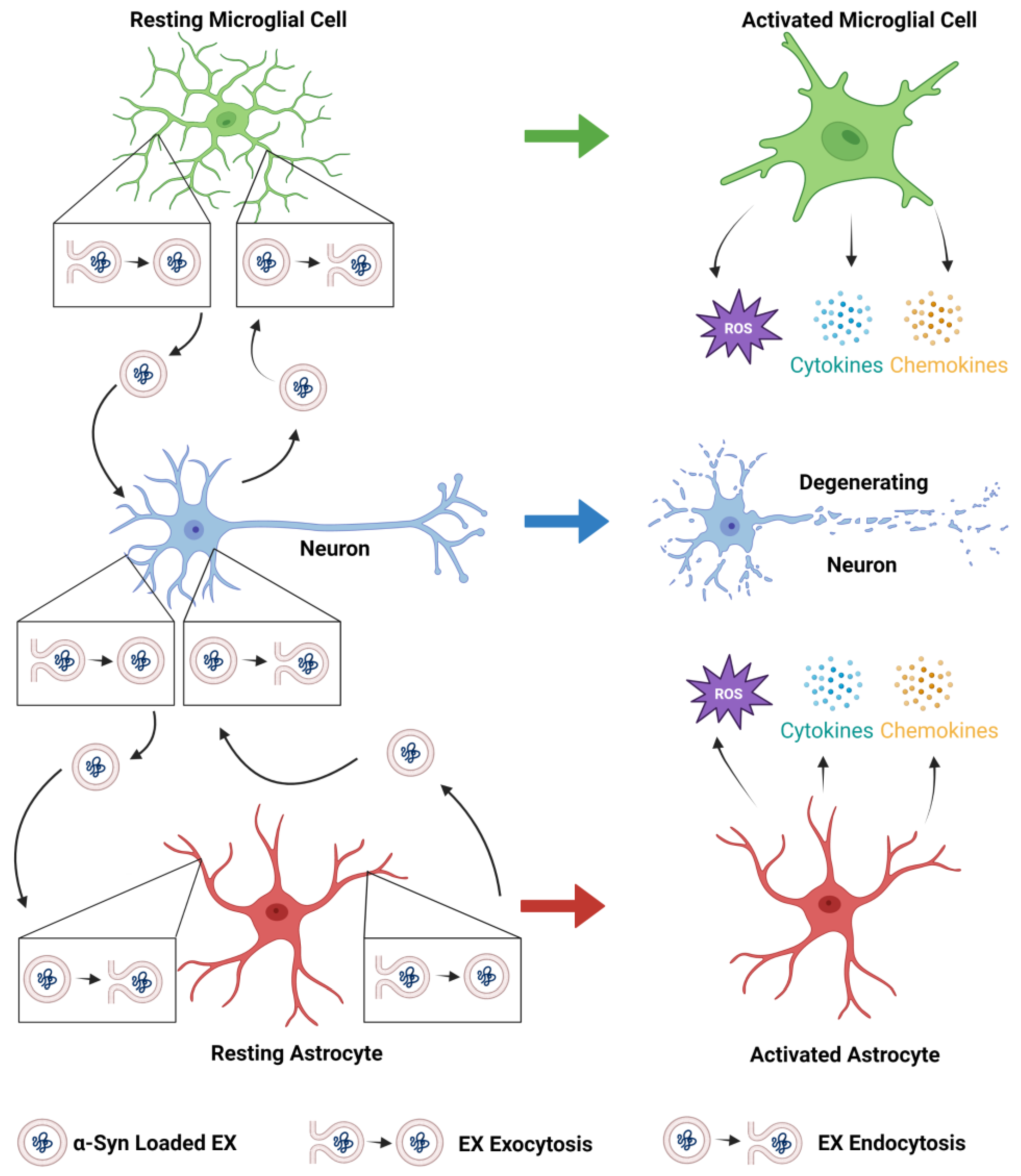 Biomedicines 11 01187 g001 550