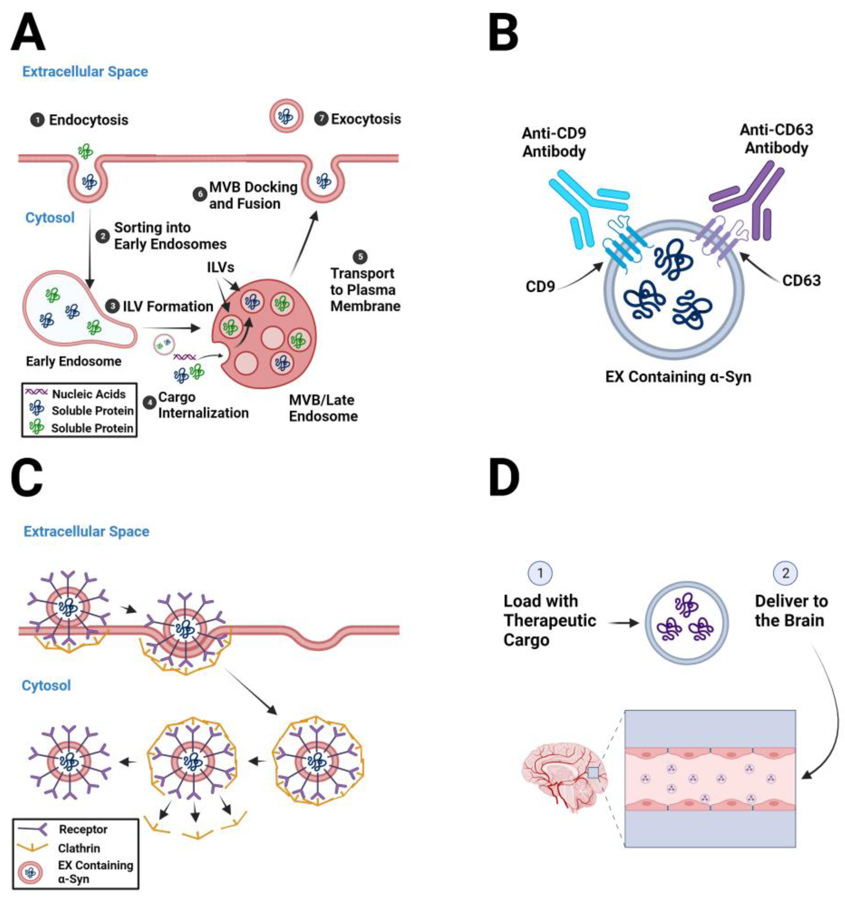 Biomedicines 11 01187 g002 550