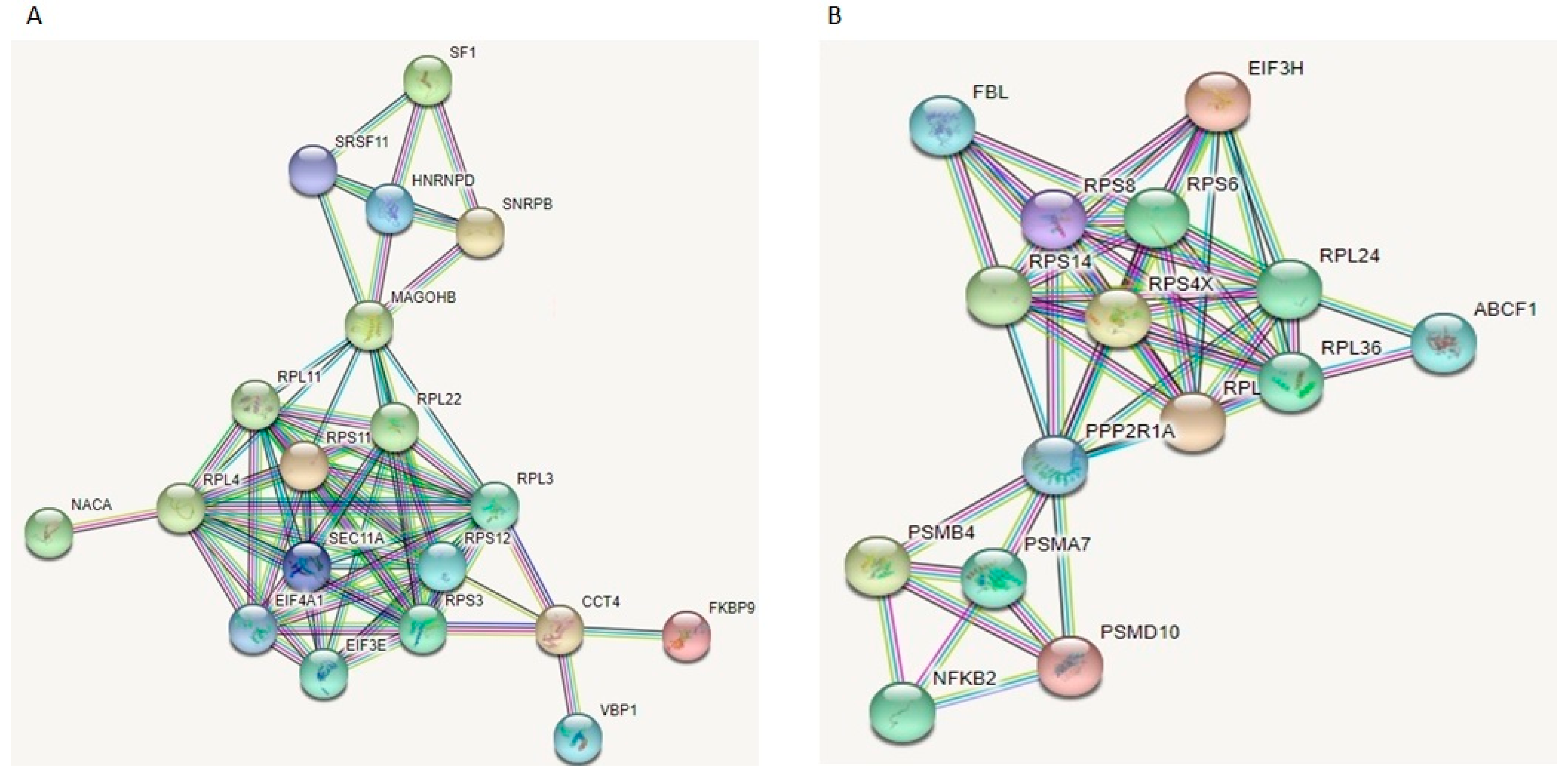 Biomedicines 11 01189 g009 Biomedicines 11 01189 g009