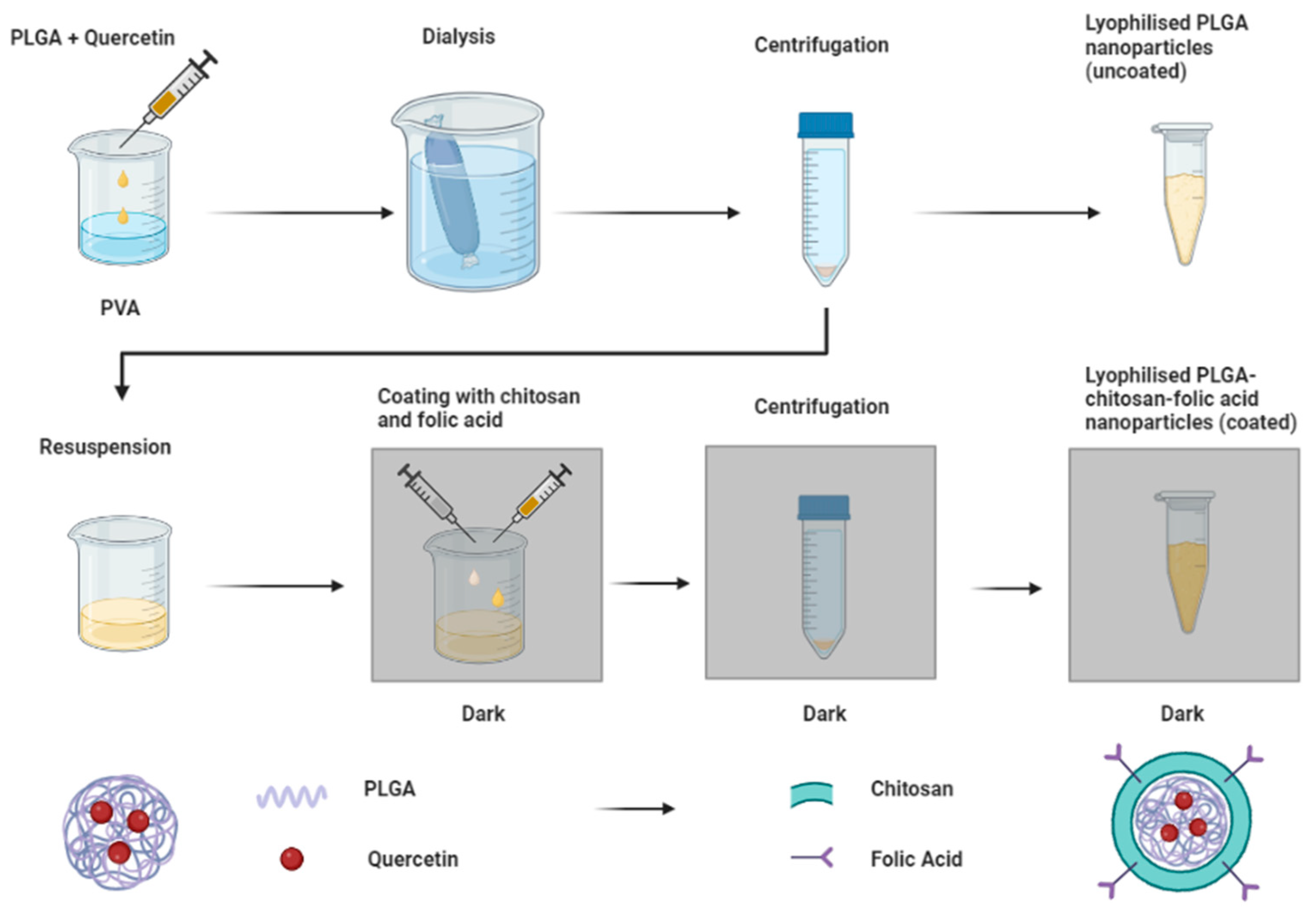Biomedicines 11 01201 g001