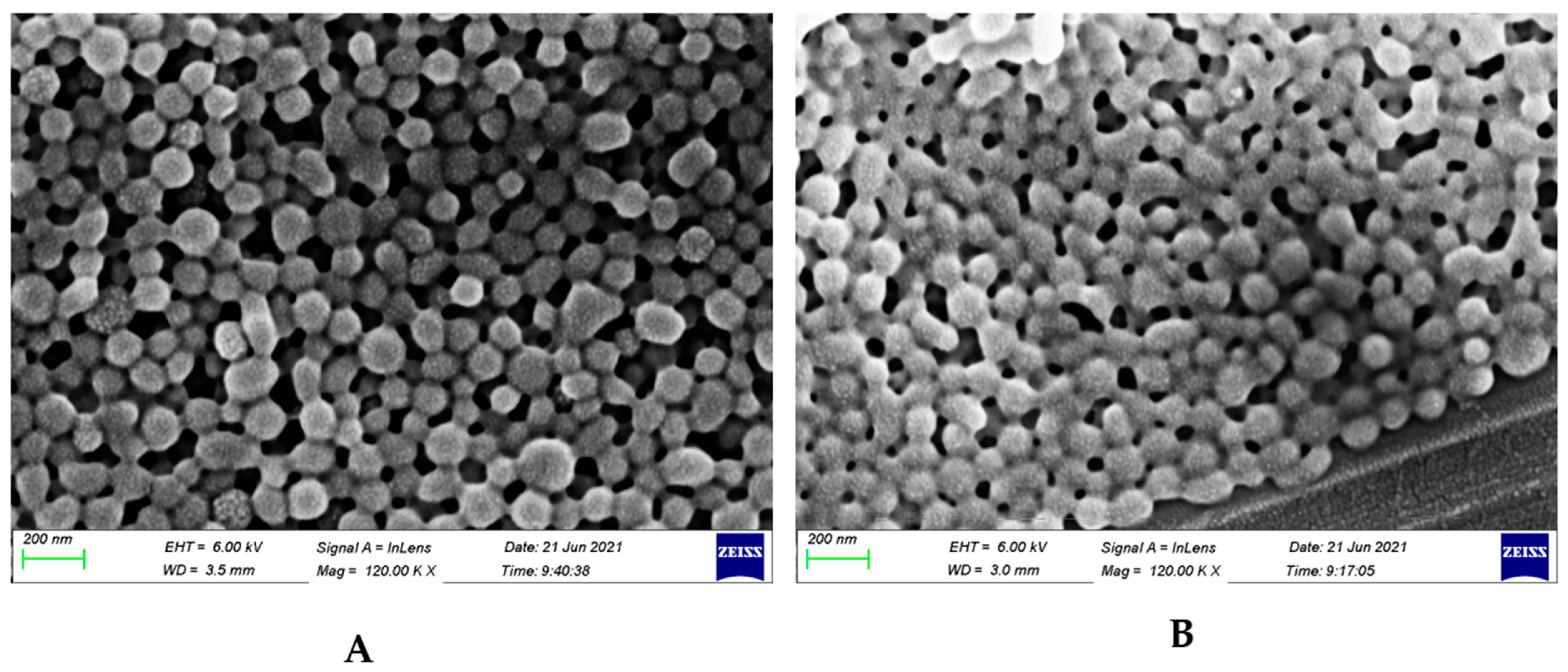 Biomedicines 11 01201 g004