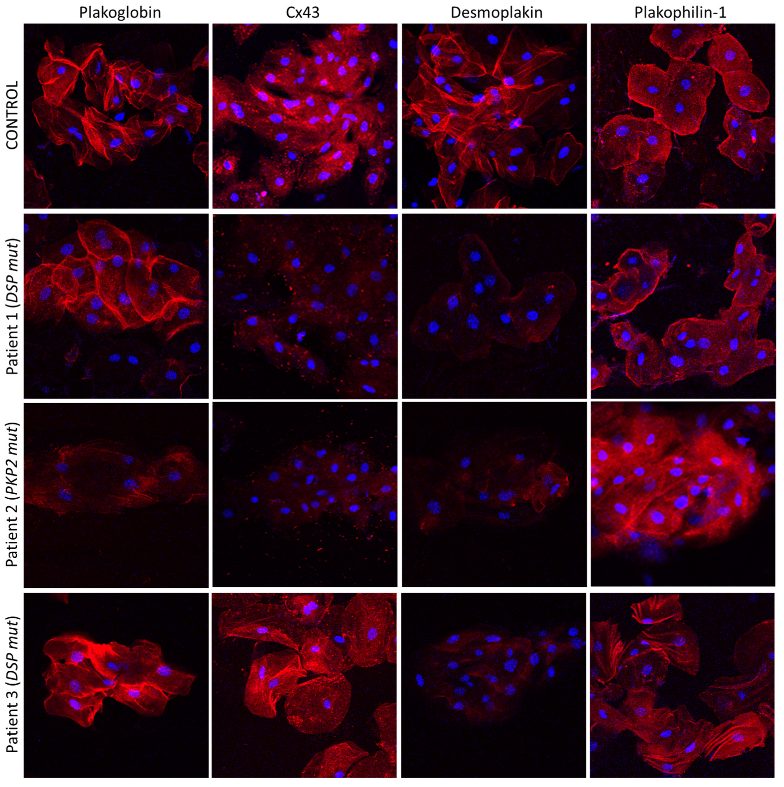 Biomedicines 11 01207 g002