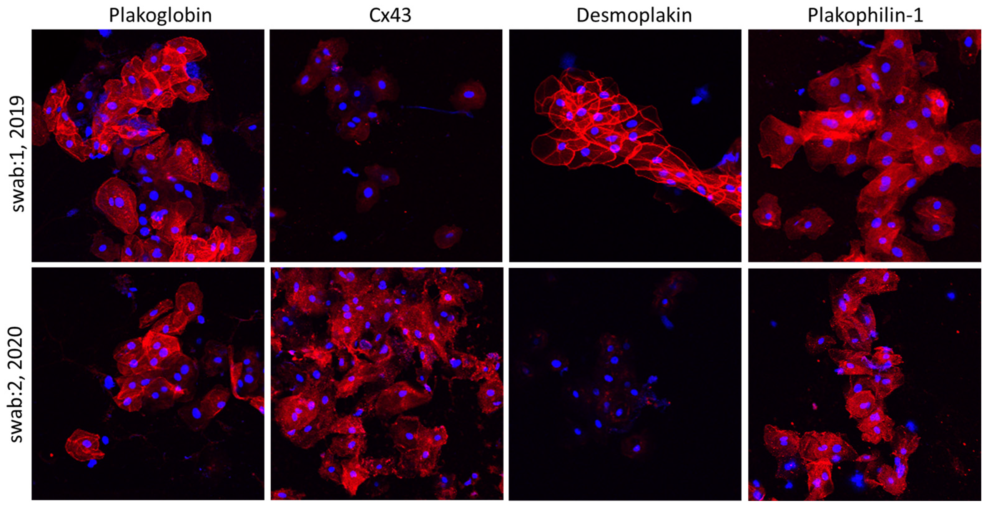 Biomedicines 11 01207 g003