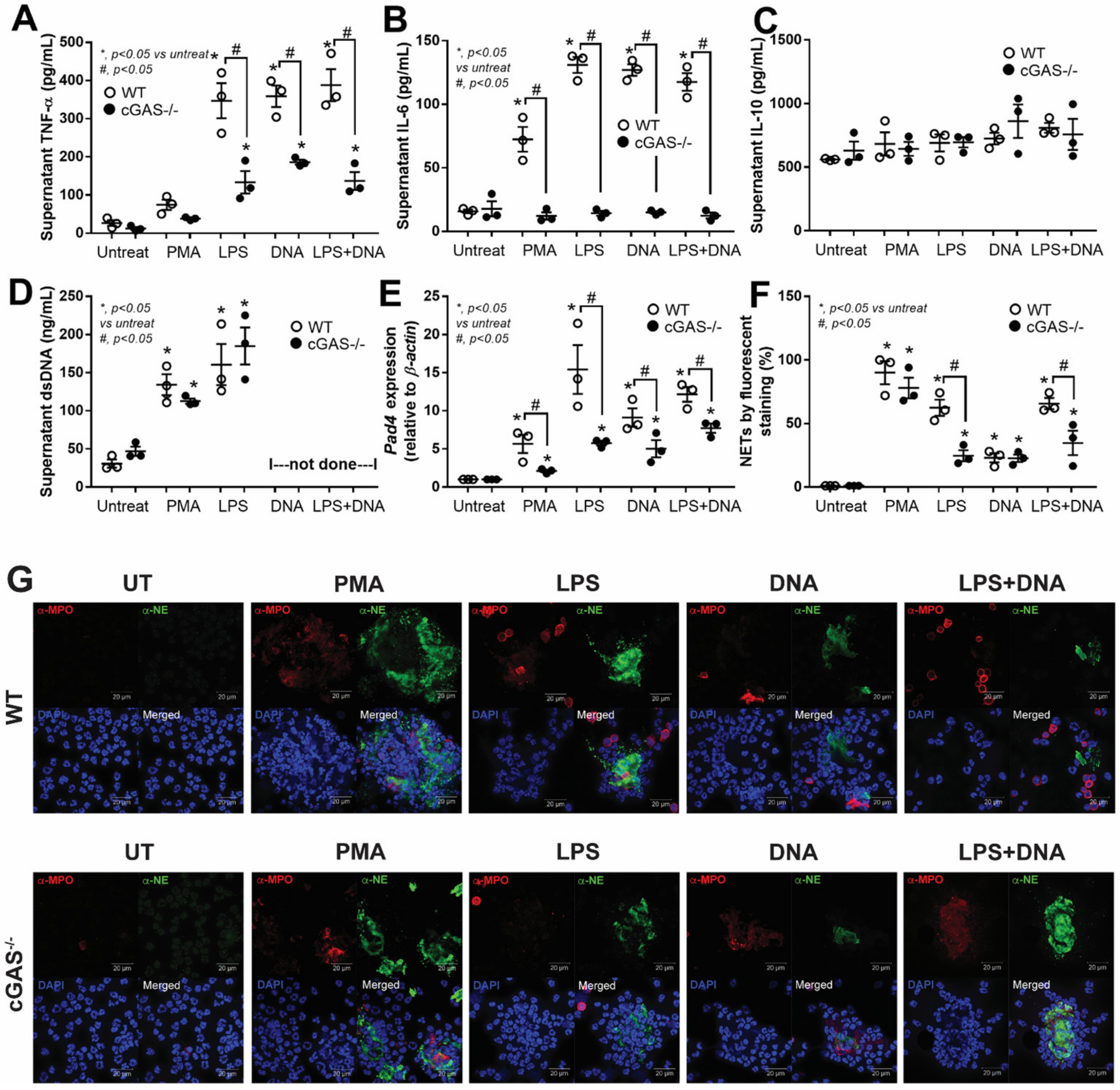 Biomedicines 11 01208 g002