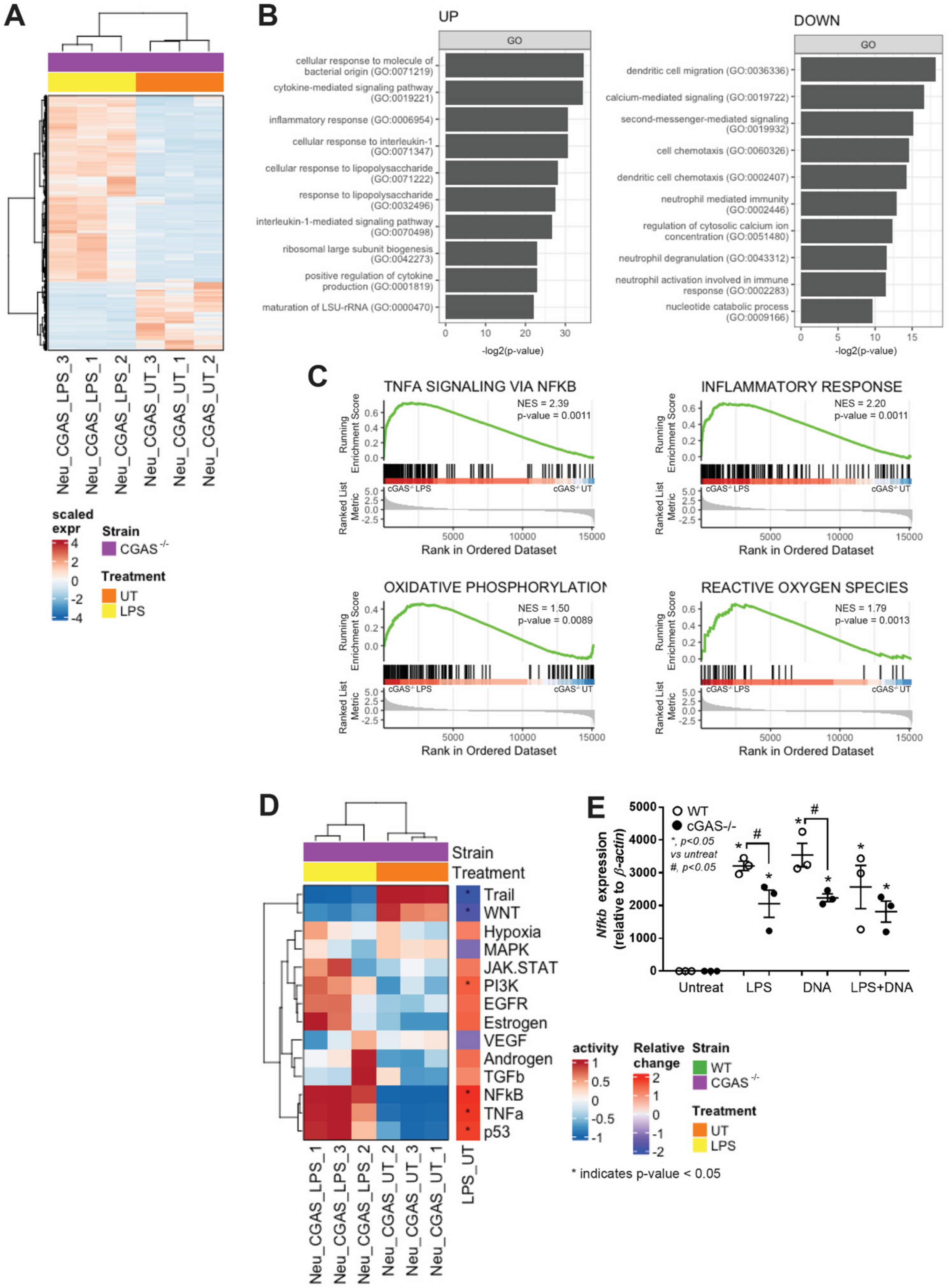 Biomedicines 11 01208 g003