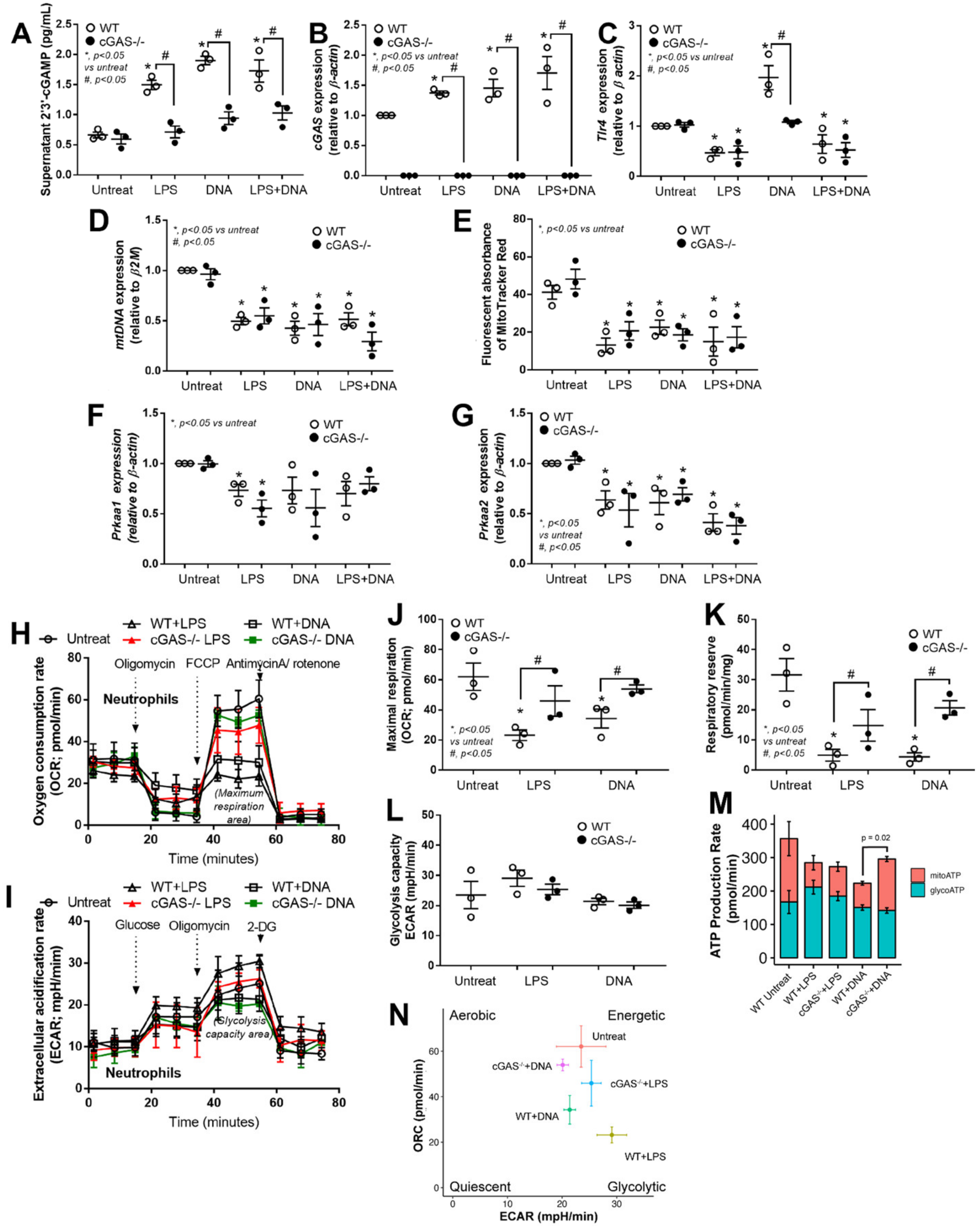 Biomedicines 11 01208 g004