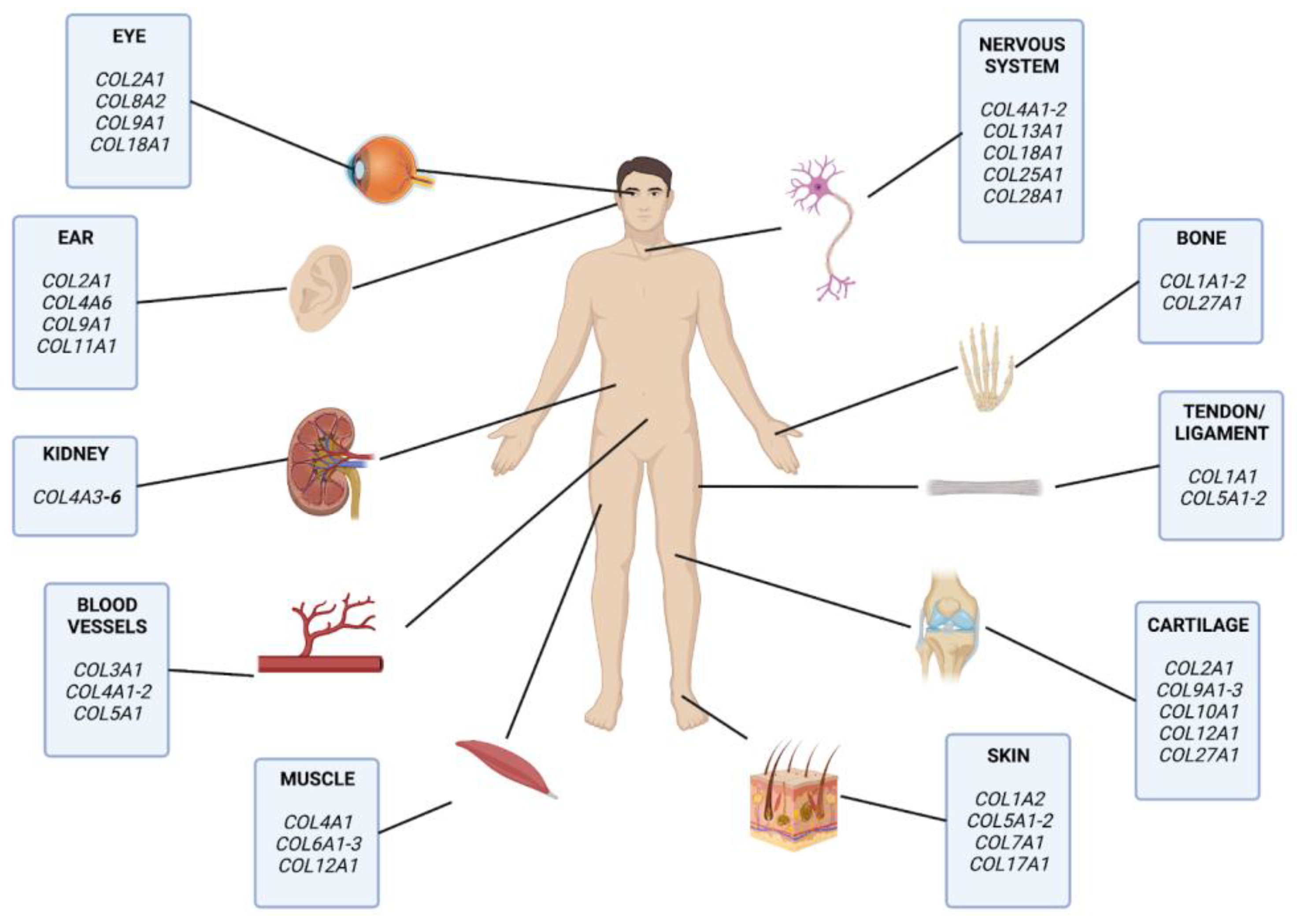 Biomedicines 11 01212 g001 Biomedicines 11 01212 g001