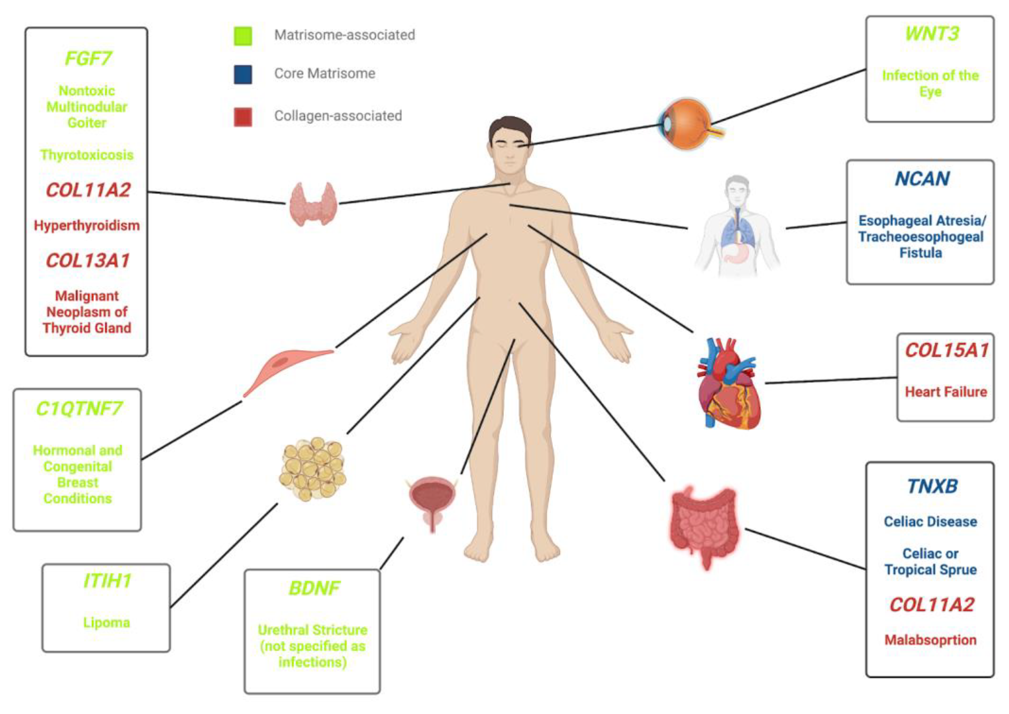 Biomedicines 11 01212 g009 Biomedicines 11 01212 g009