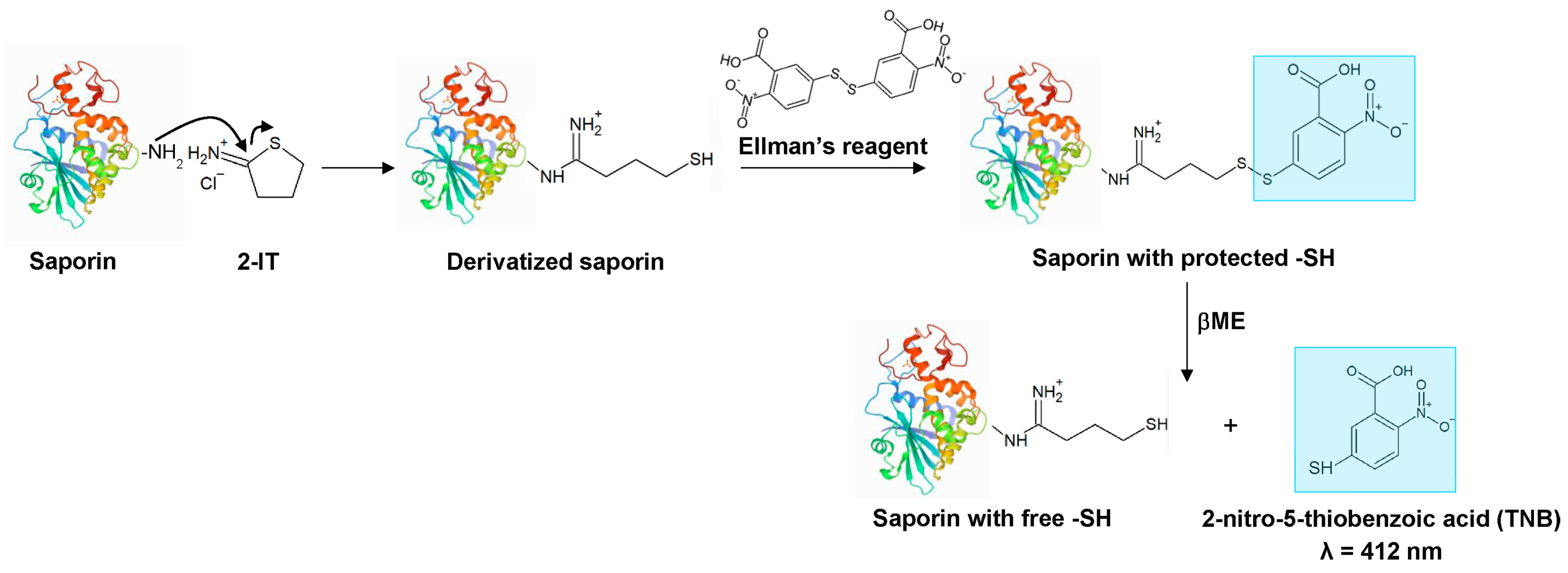 Biomedicines 11 01214 sch001