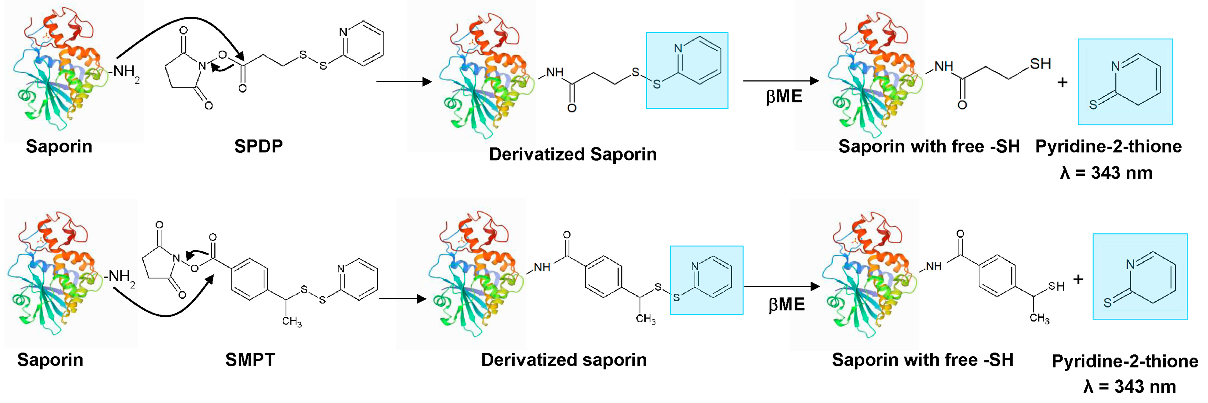 Biomedicines 11 01214 sch002