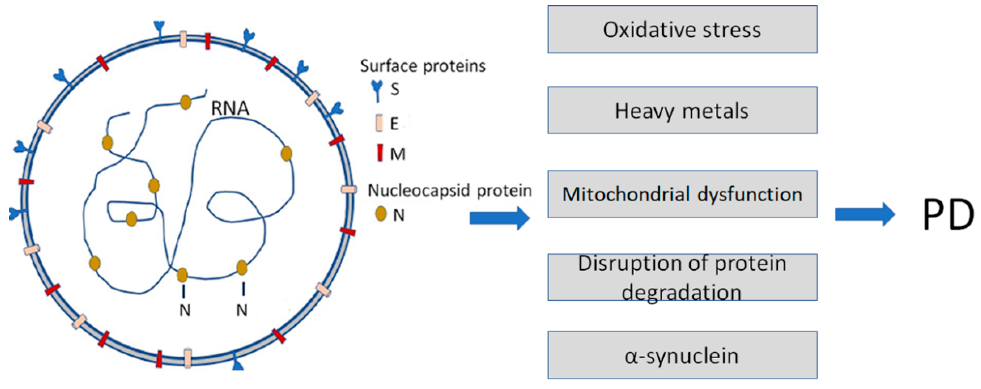 Biomedicines 11 01215 g001