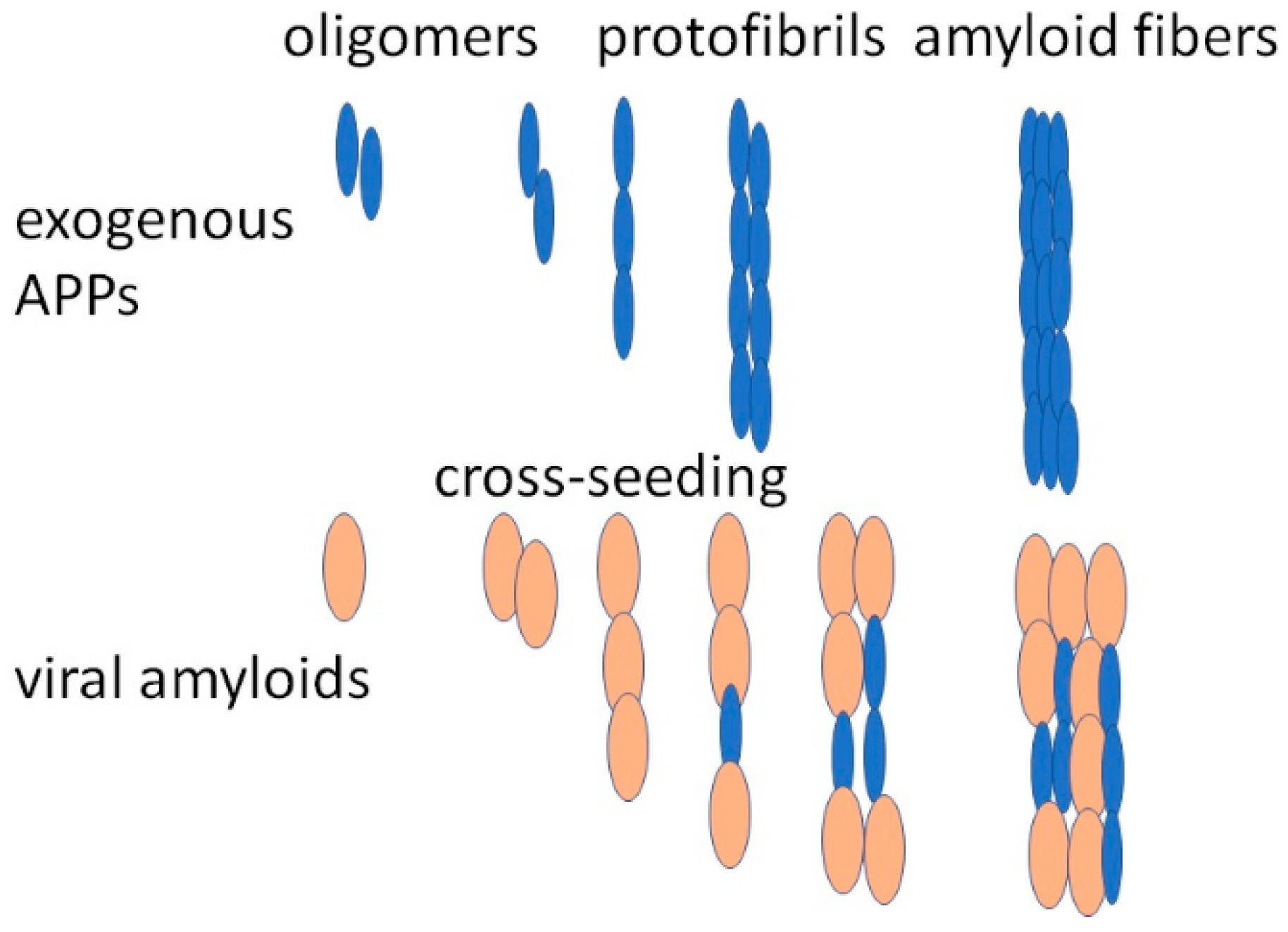 Biomedicines 11 01215 g002