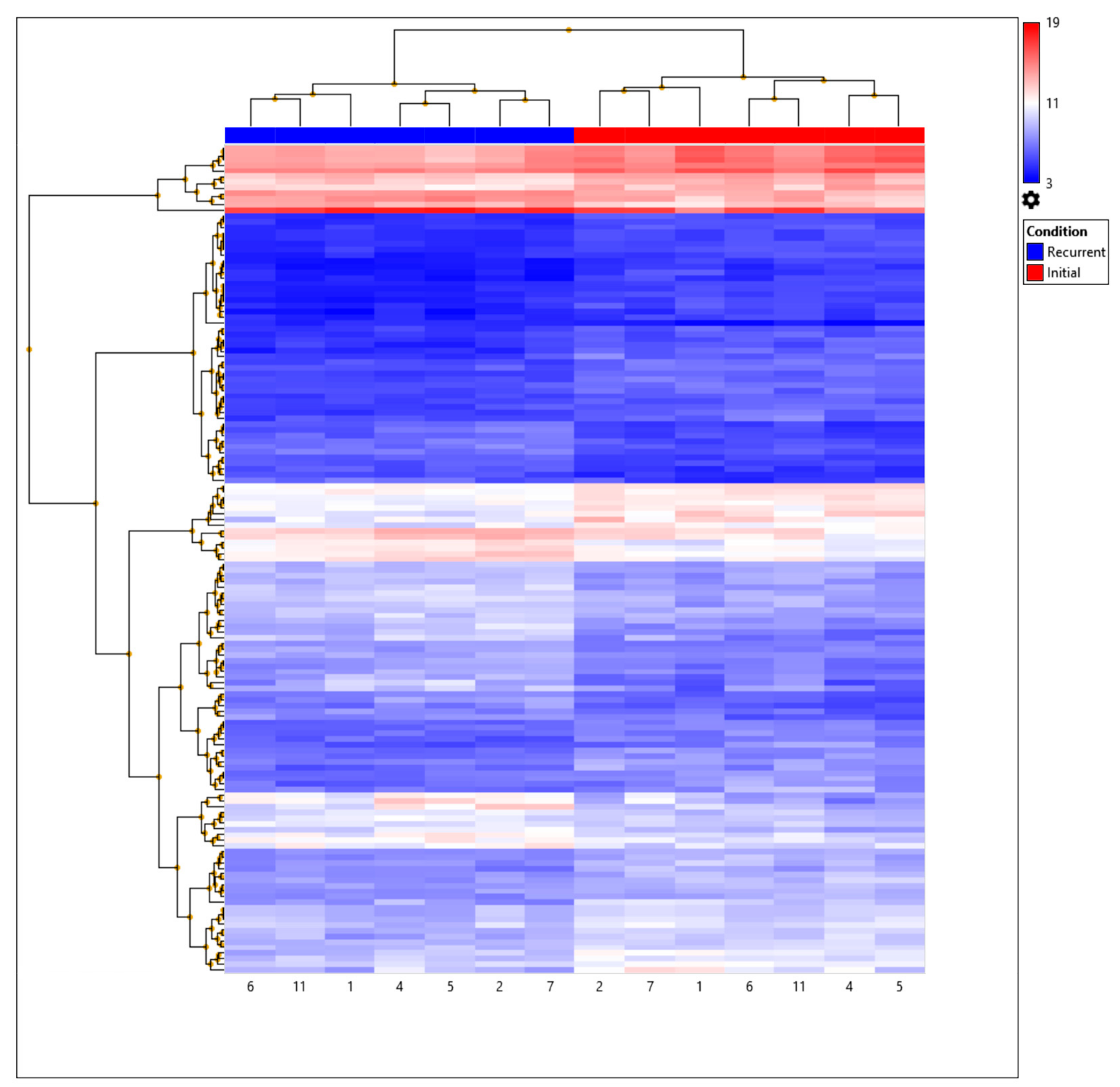 Biomedicines 11 01219 g001