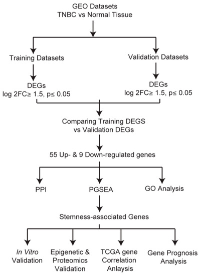 Identification of a NACC1-Regulated Gene Signature