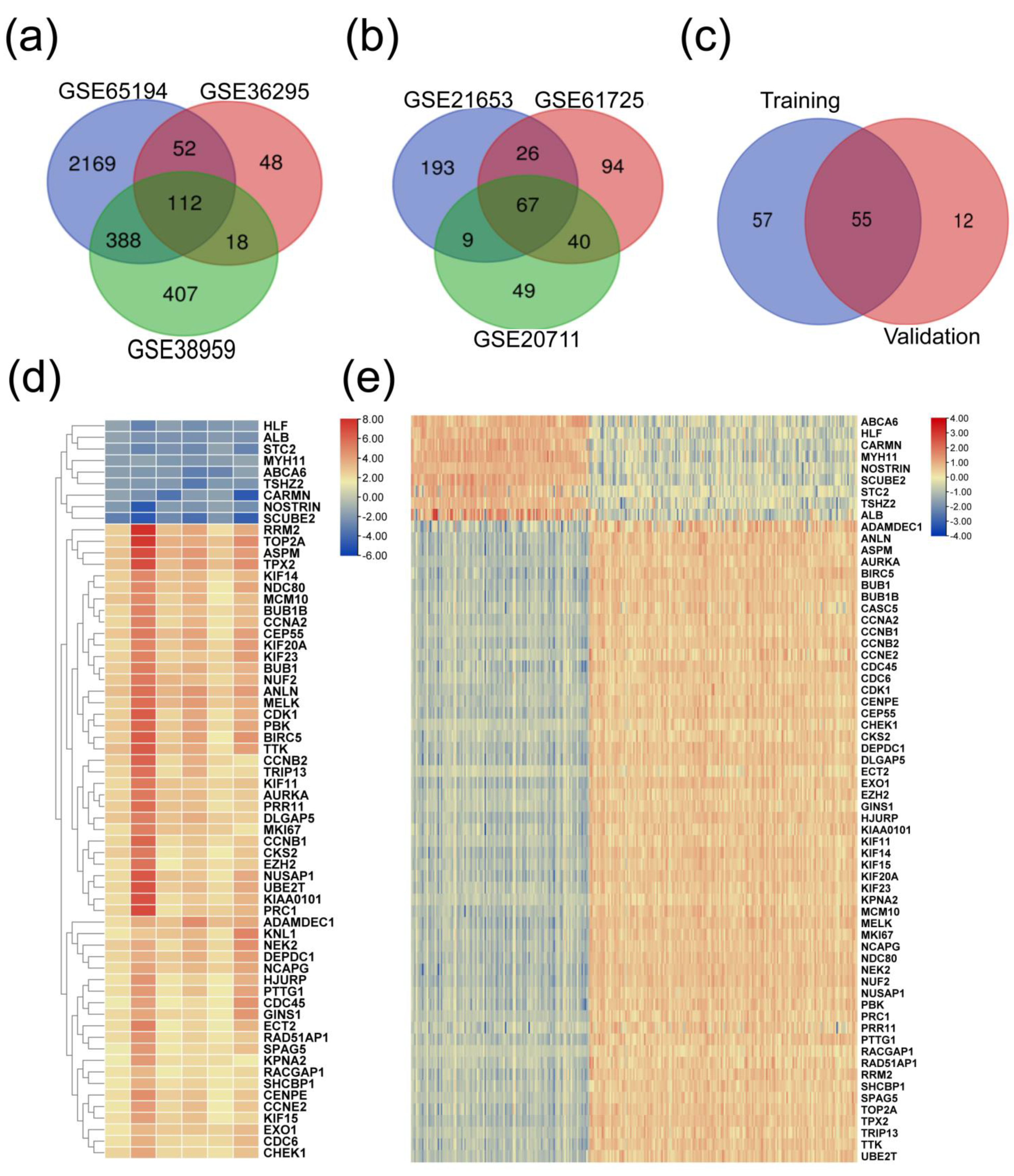Biomedicines 11 01223 g002