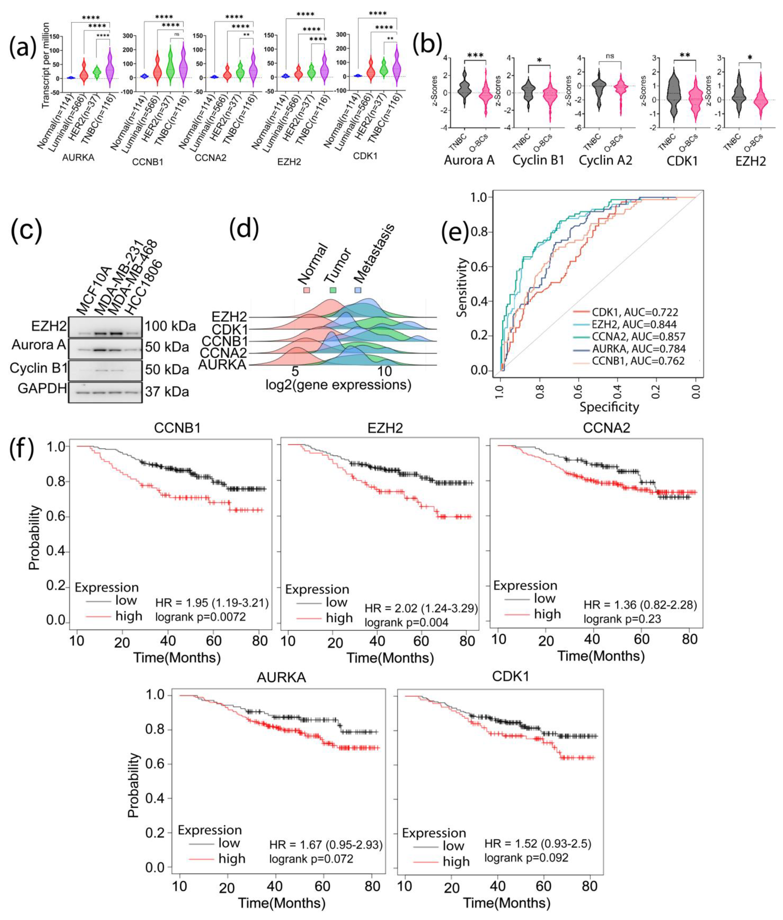 Biomedicines 11 01223 g004
