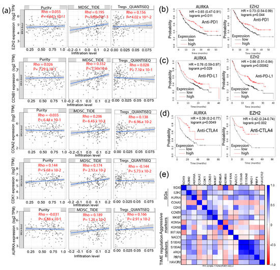 Identification of a NACC1-Regulated Gene Signature