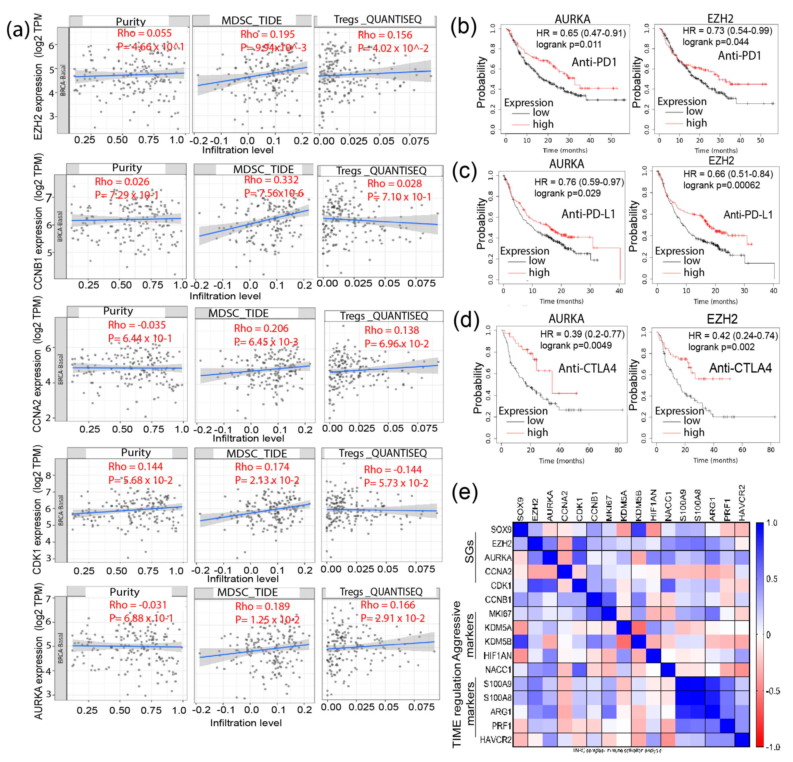Biomedicines 11 01223 g005