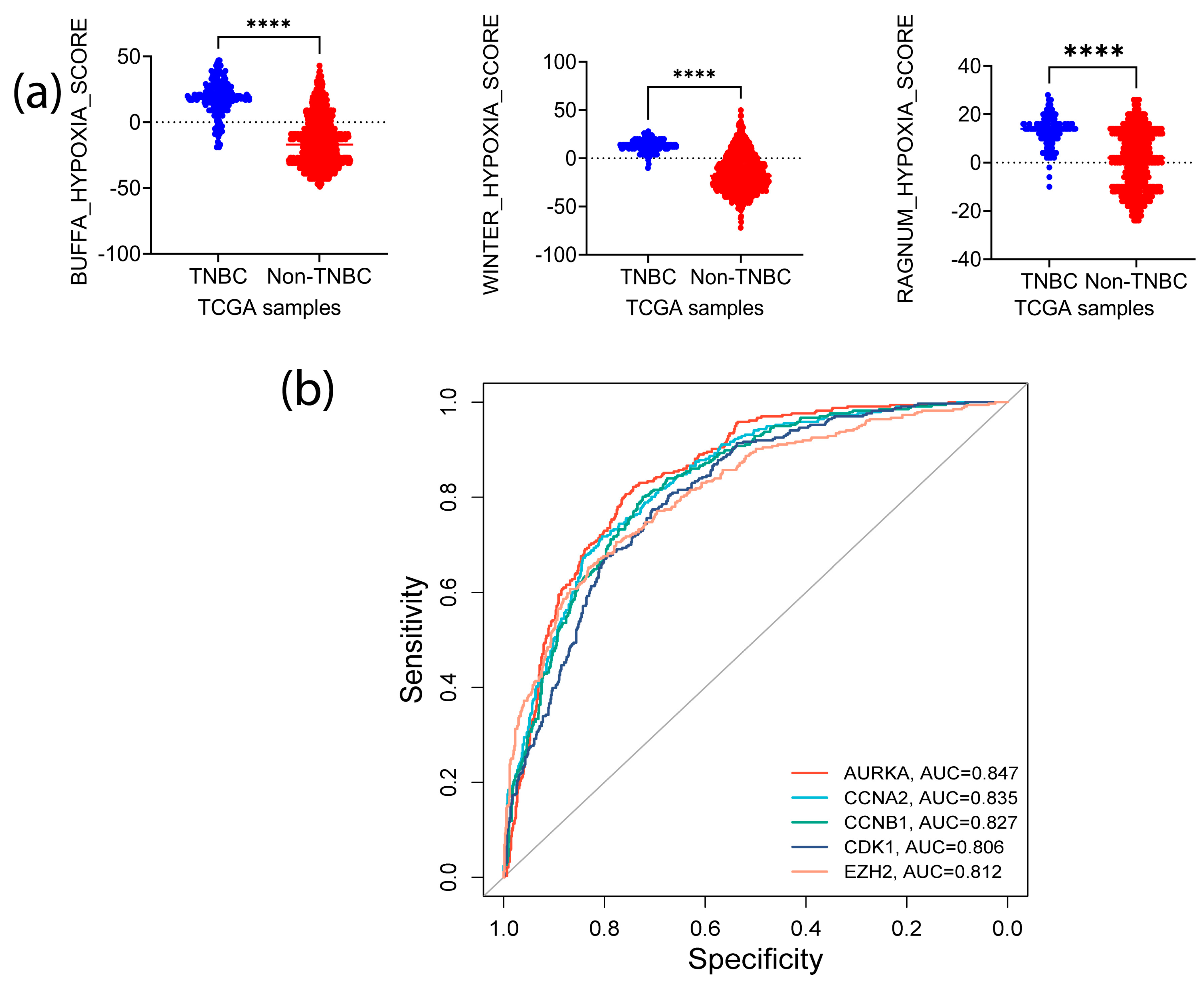 Biomedicines 11 01223 g006