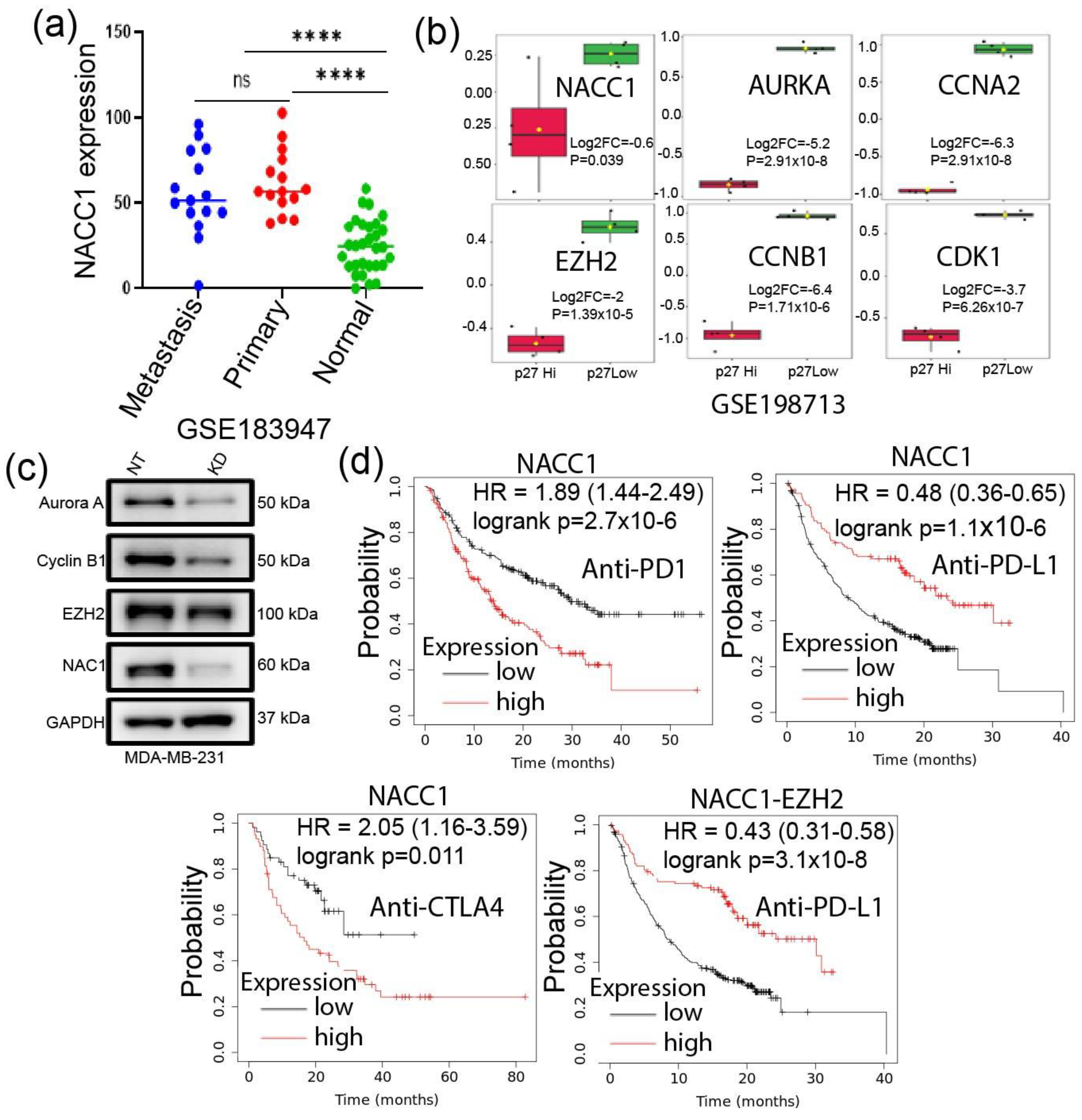 Biomedicines 11 01223 g007