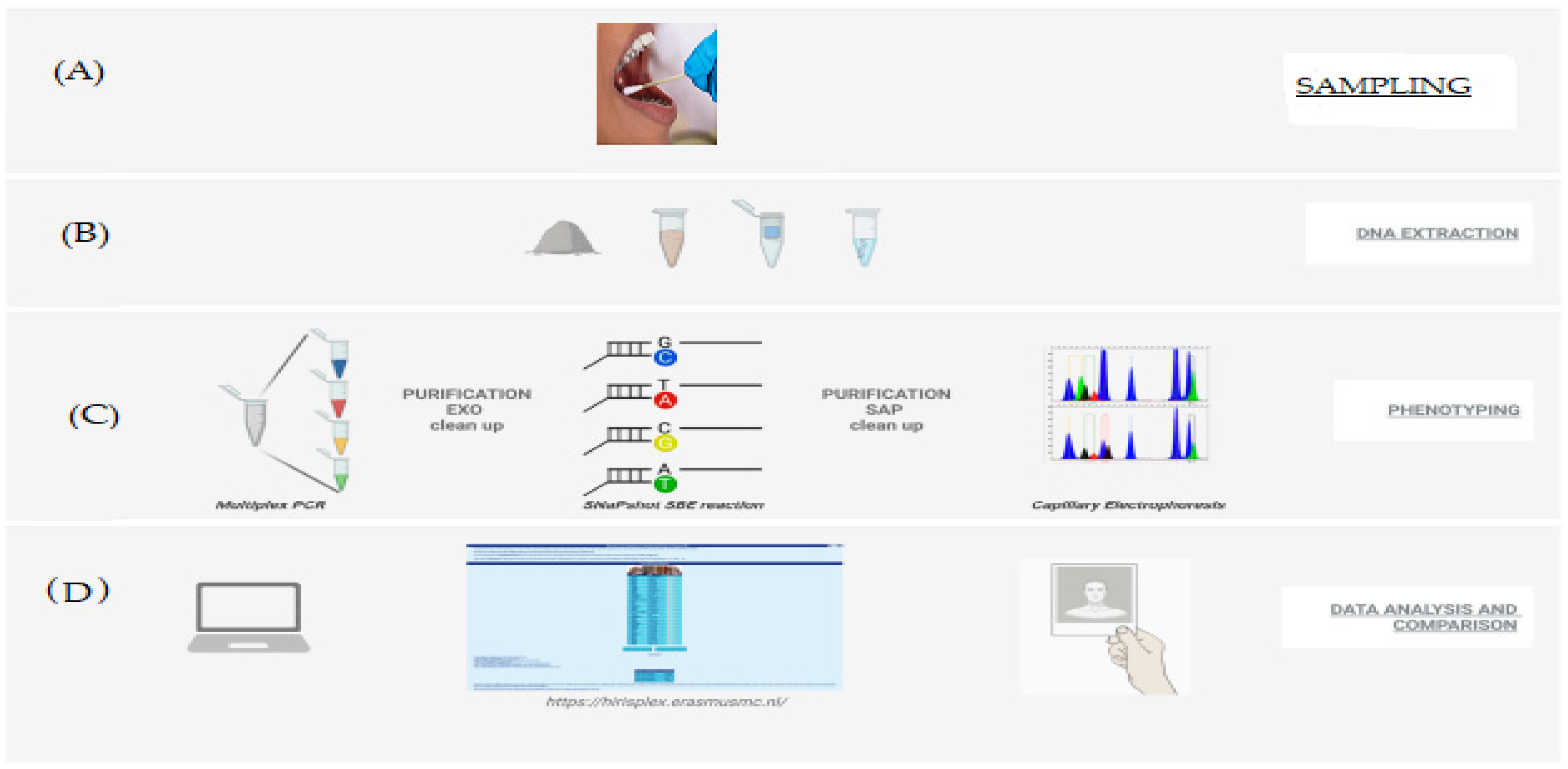 Biomedicines 11 01228 g005 Biomedicines 11 01228 g005