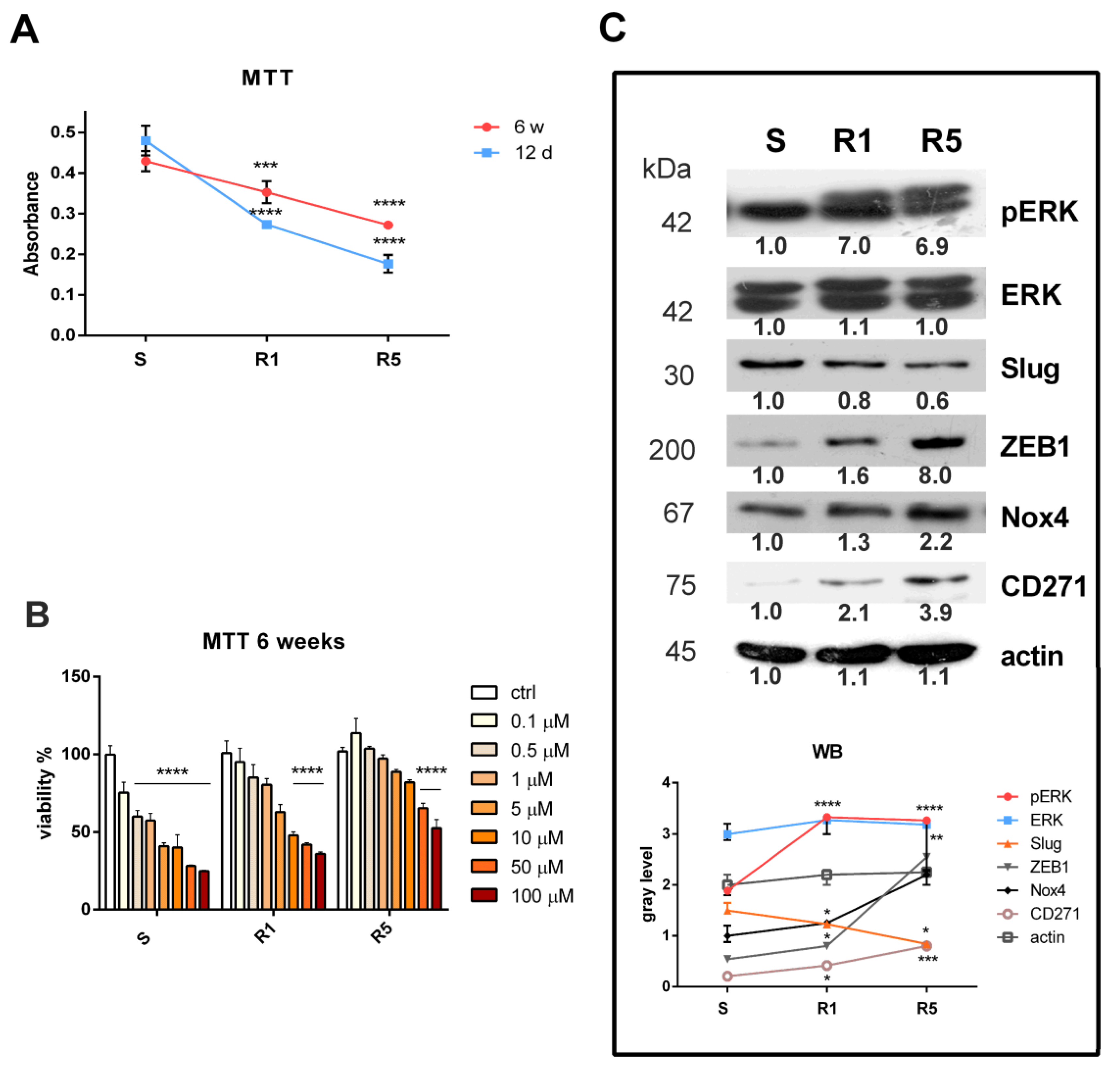 Biomedicines 11 01229 g001 Biomedicines 11 01229 g001