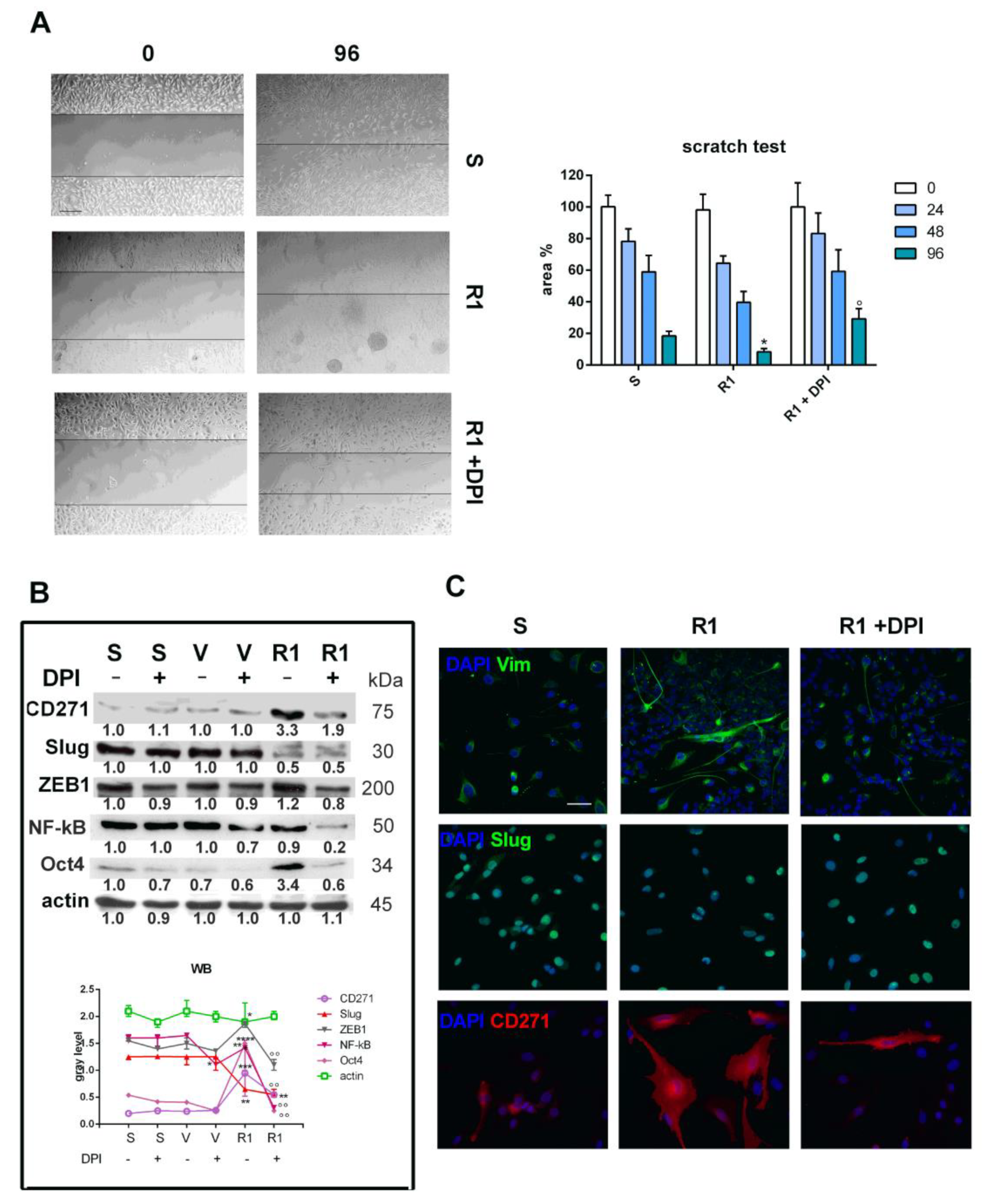 Biomedicines 11 01229 g003 Biomedicines 11 01229 g003