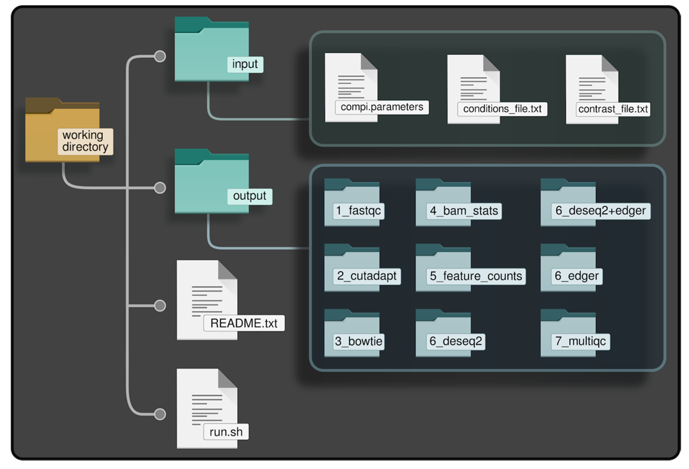Biomedicines 11 01230 g002