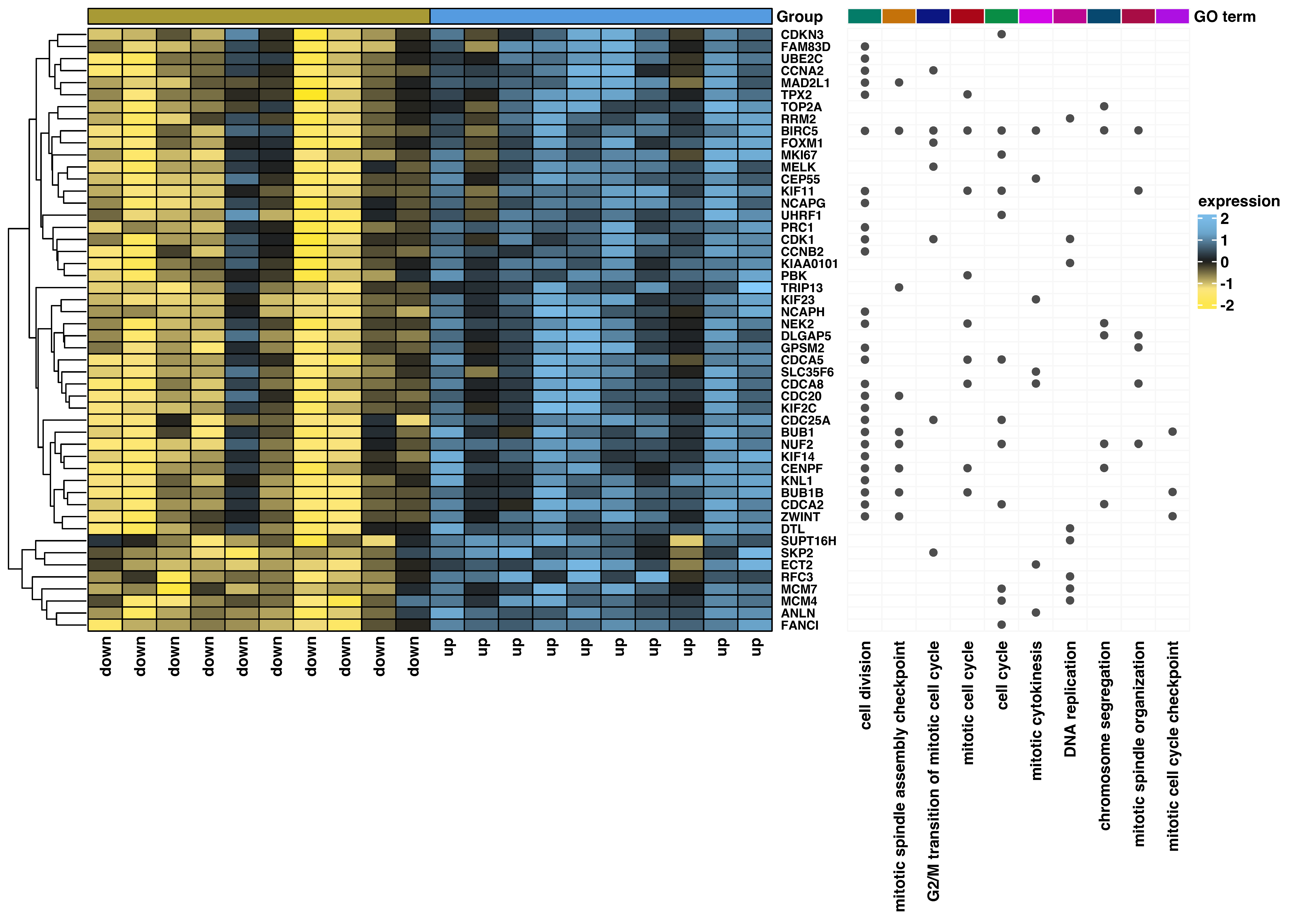 Biomedicines 11 01233 g007 Biomedicines 11 01233 g007