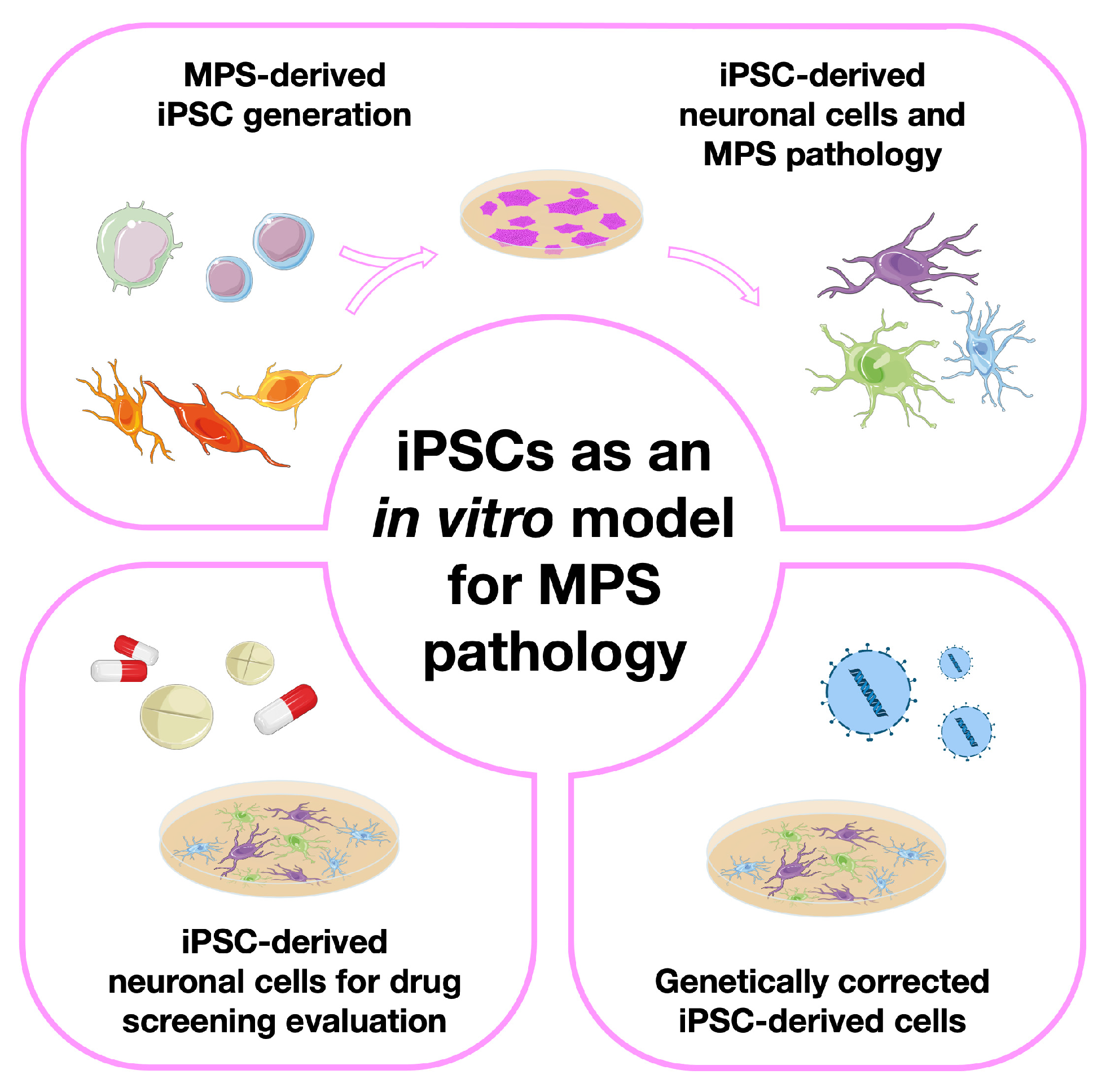 Biomedicines 11 01234 g001 Biomedicines 11 01234 g001