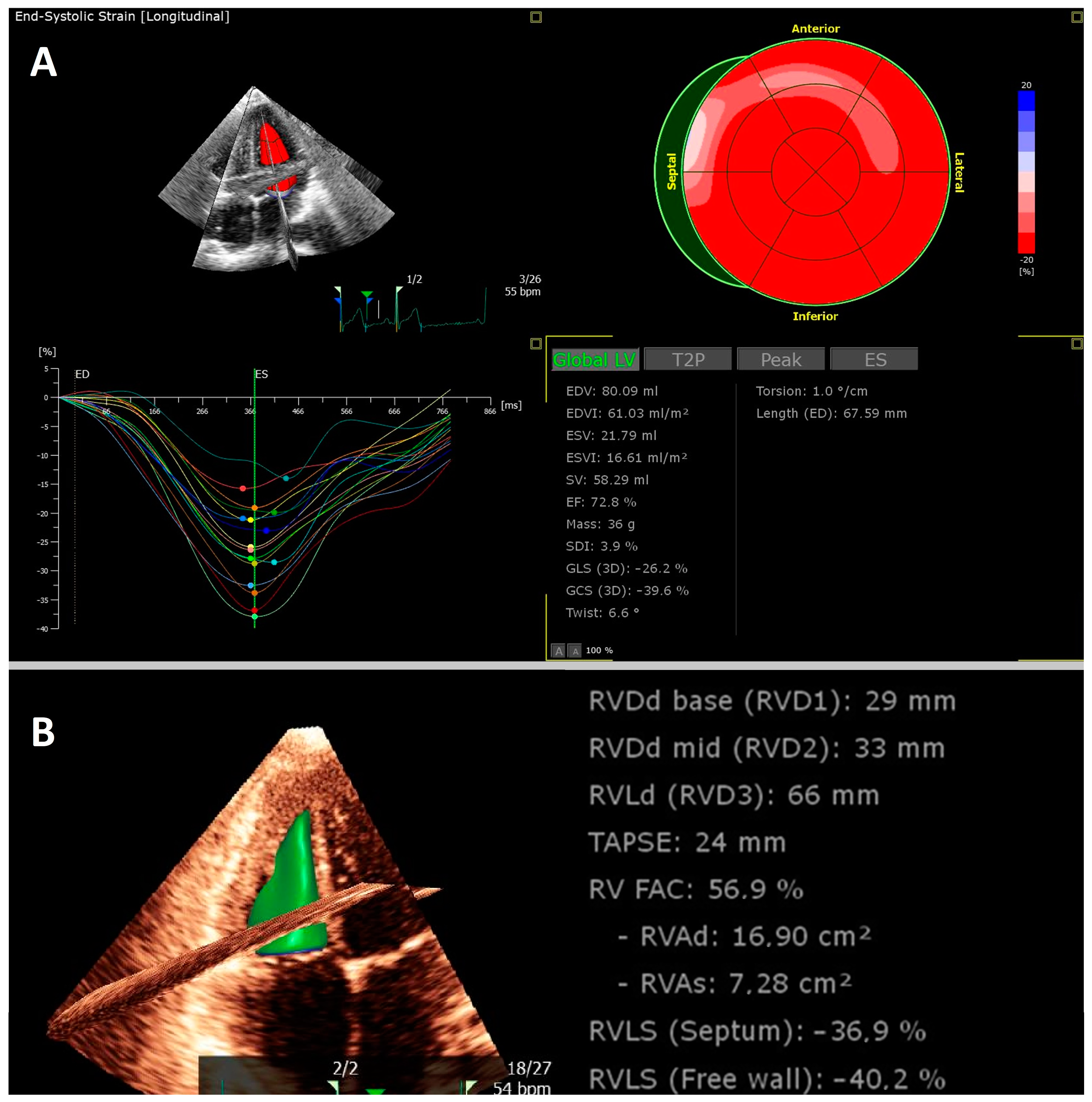 Biomedicines 11 01236 g002 Biomedicines 11 01236 g002