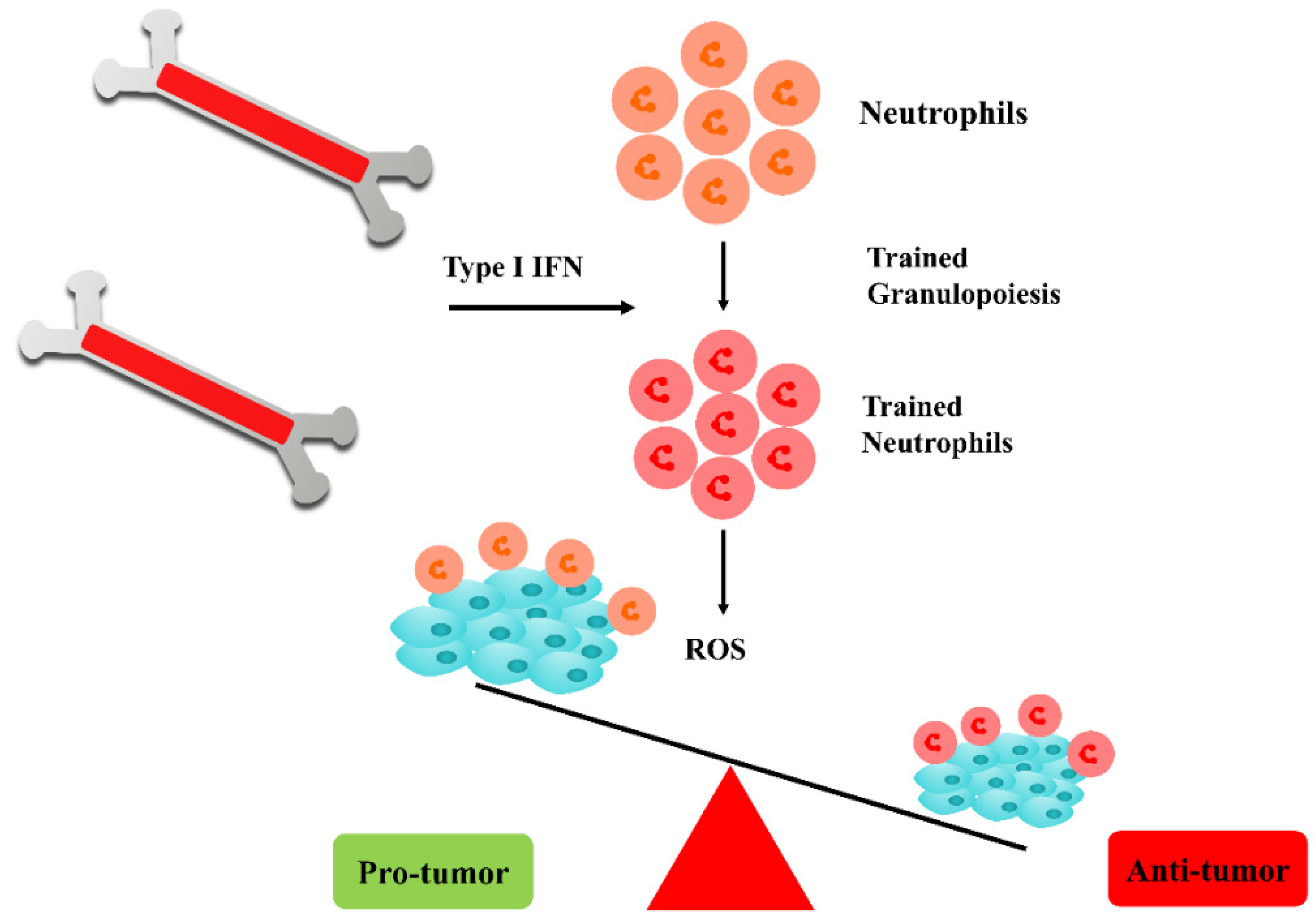 Biomedicines 11 01245 g001