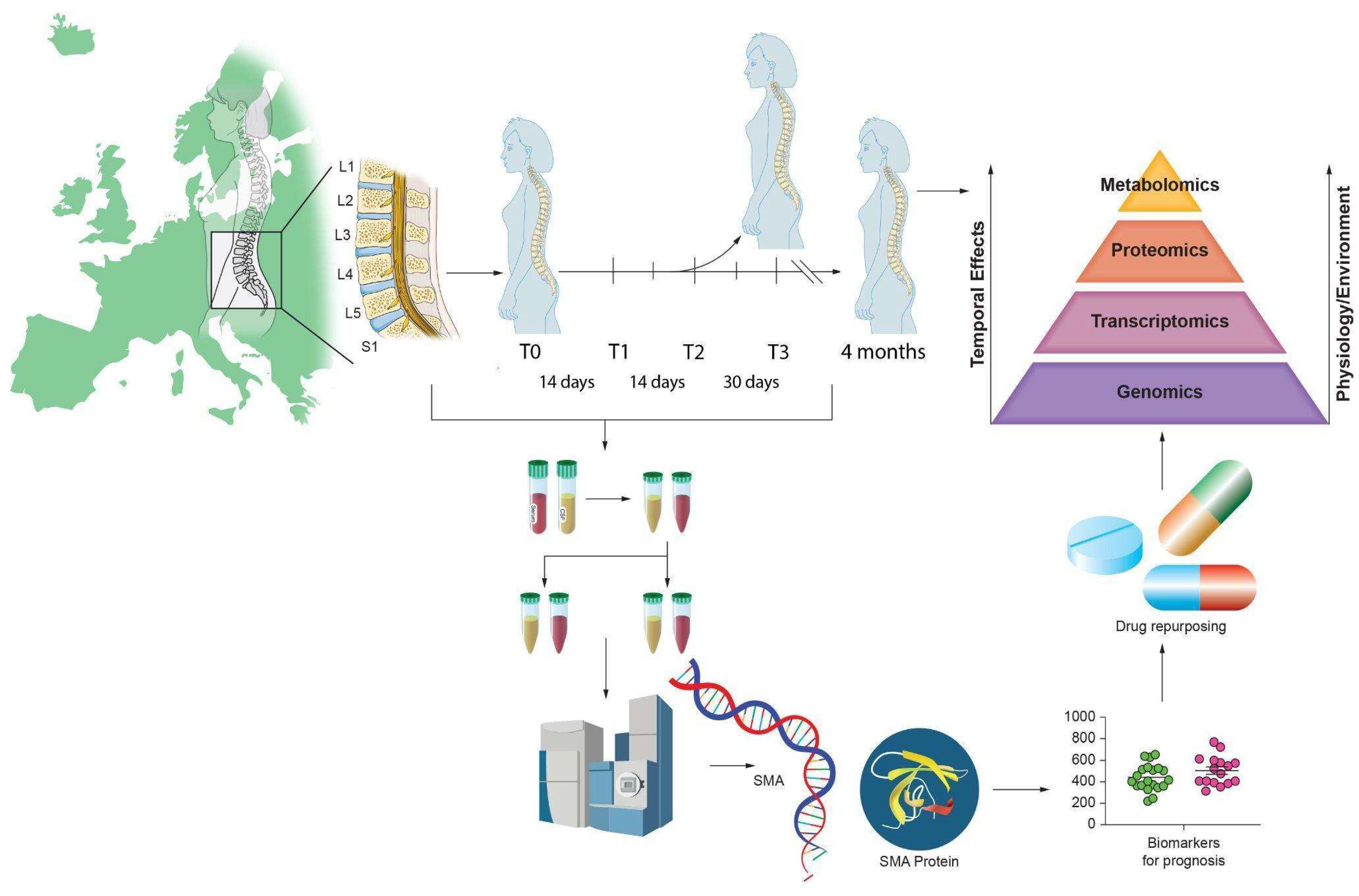 Biomedicines 11 01254 g002 Biomedicines 11 01254 g002