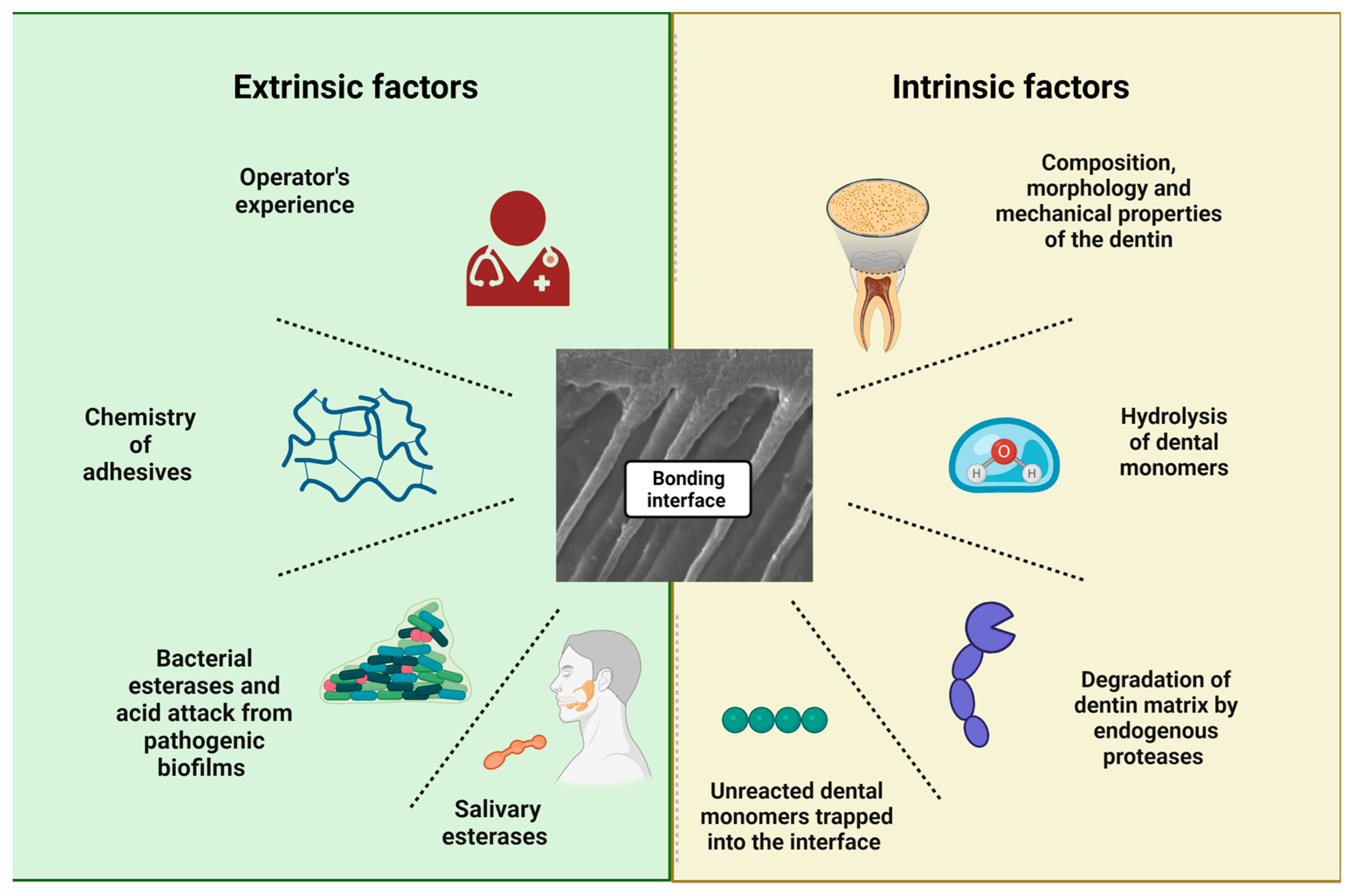 Biomedicines 11 01256 g003 Biomedicines 11 01256 g003