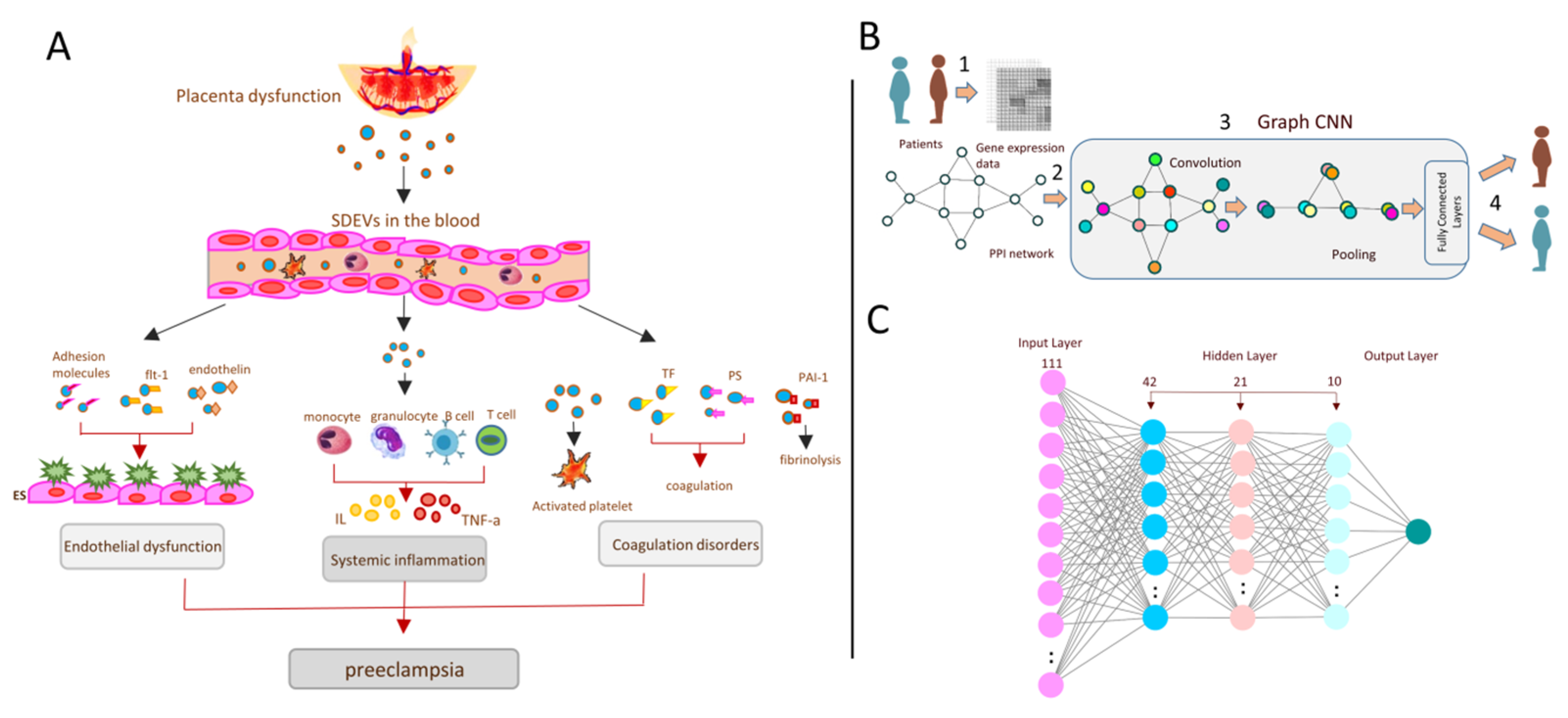 Biomedicines 11 01257 g001