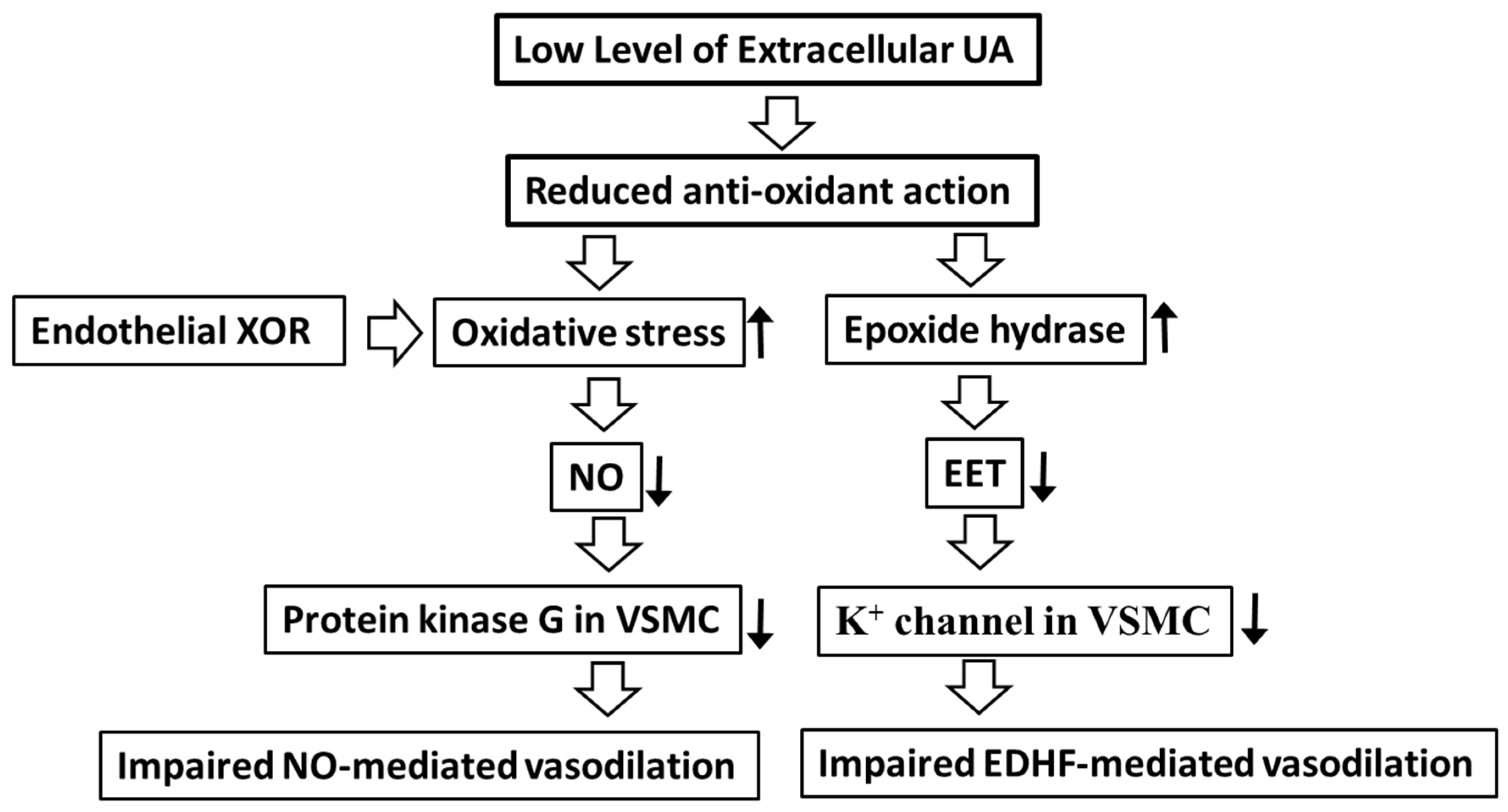 Biomedicines 11 01258 g004 Biomedicines 11 01258 g004