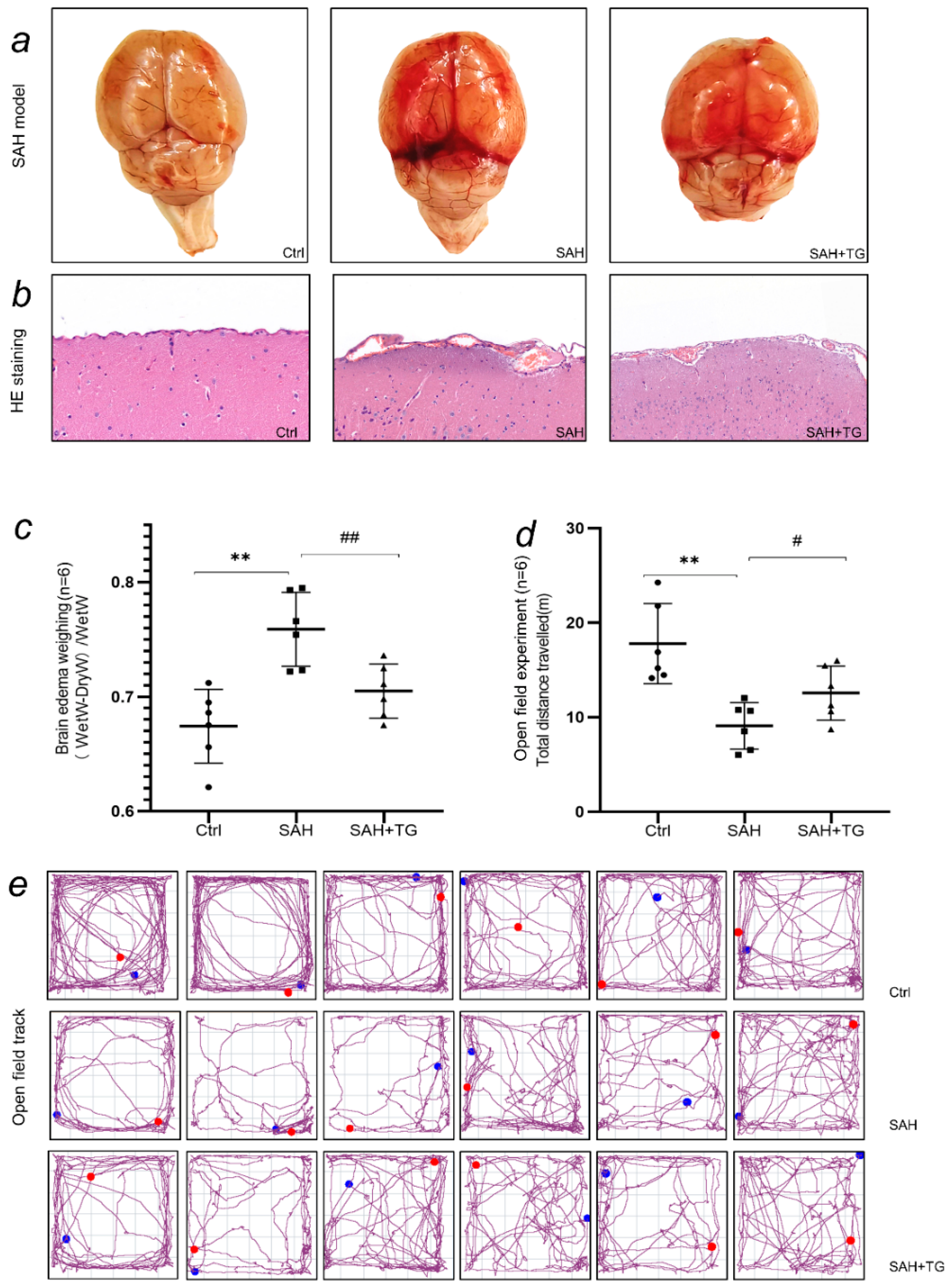 Biomedicines 11 01259 g001